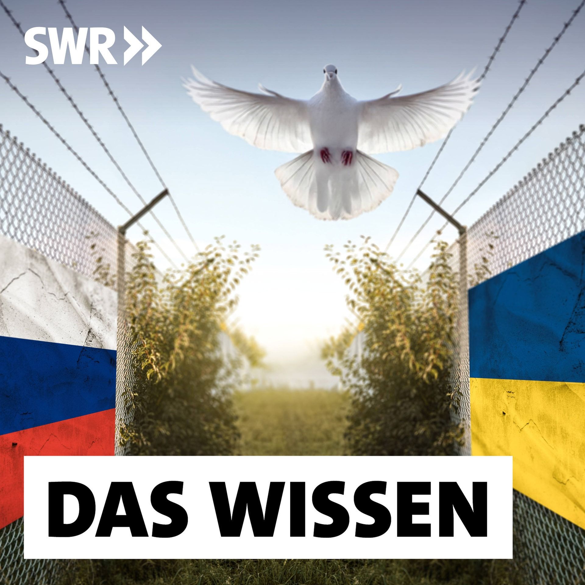 Die neuen Kriege und ihre tieferen Ursachen