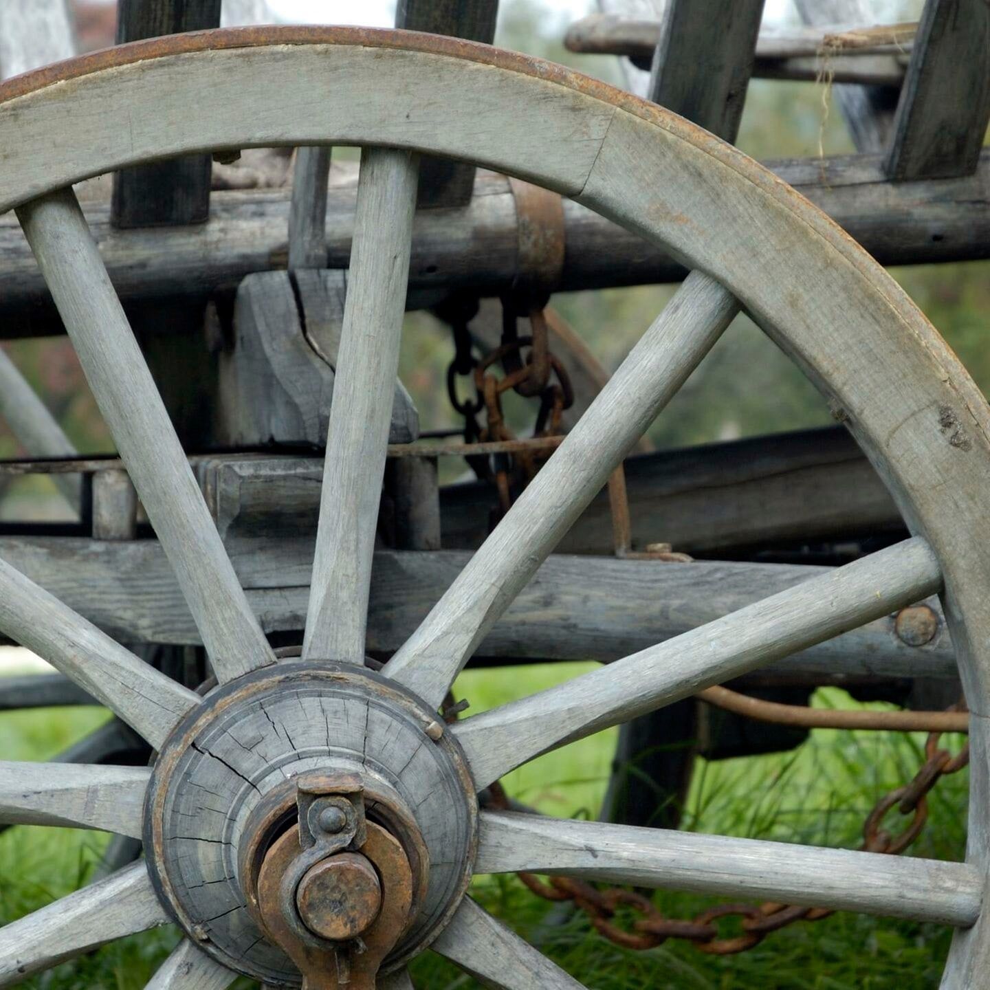 Das Rad wurde in Kiel erfunden