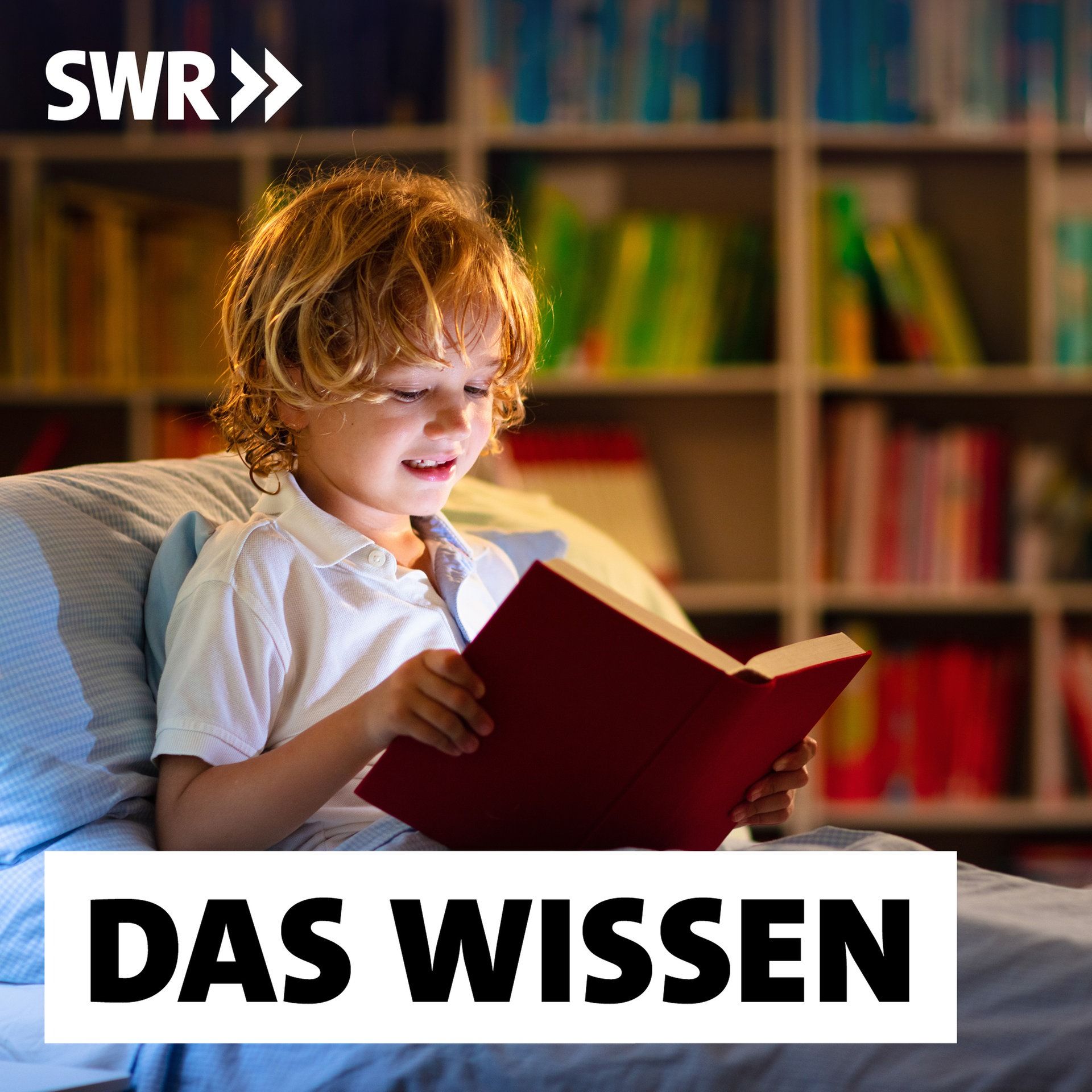 Spaß am Lesen – Wie Kinder für Bücher begeistert werden