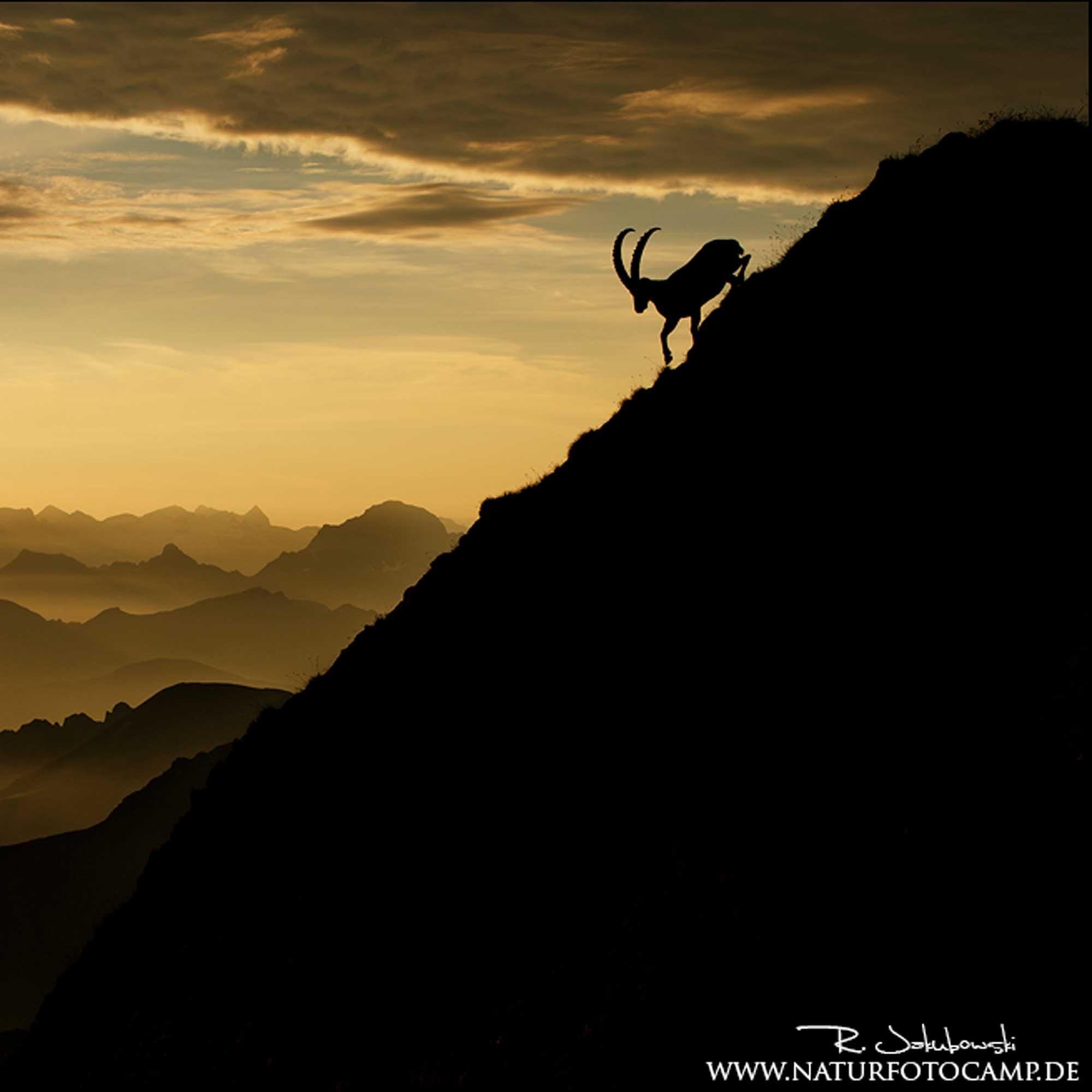 Radomir Jakubowski – Naturfotografie vor der eigenen Haustür