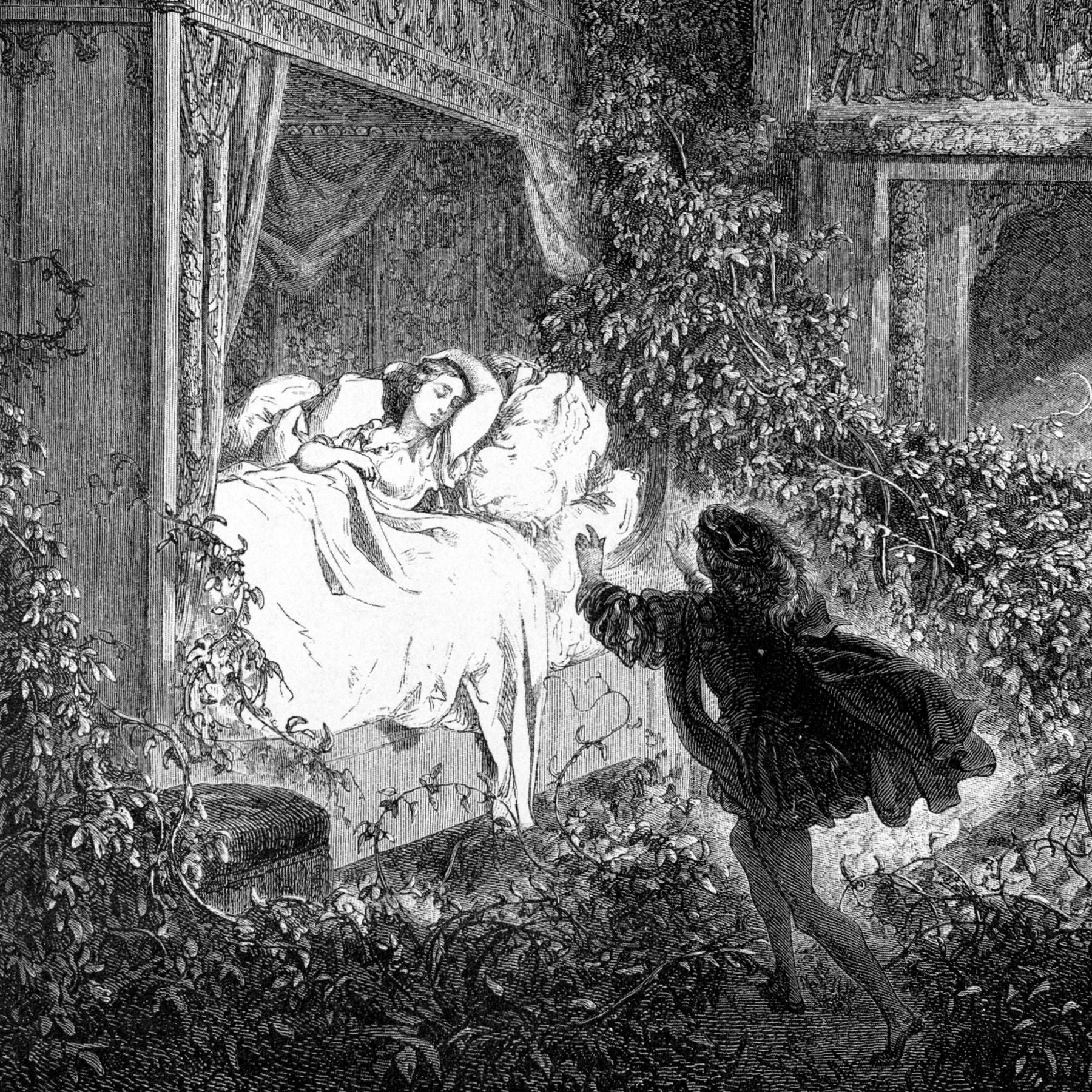 Dornröschen - Das Erwachen der Sexualität