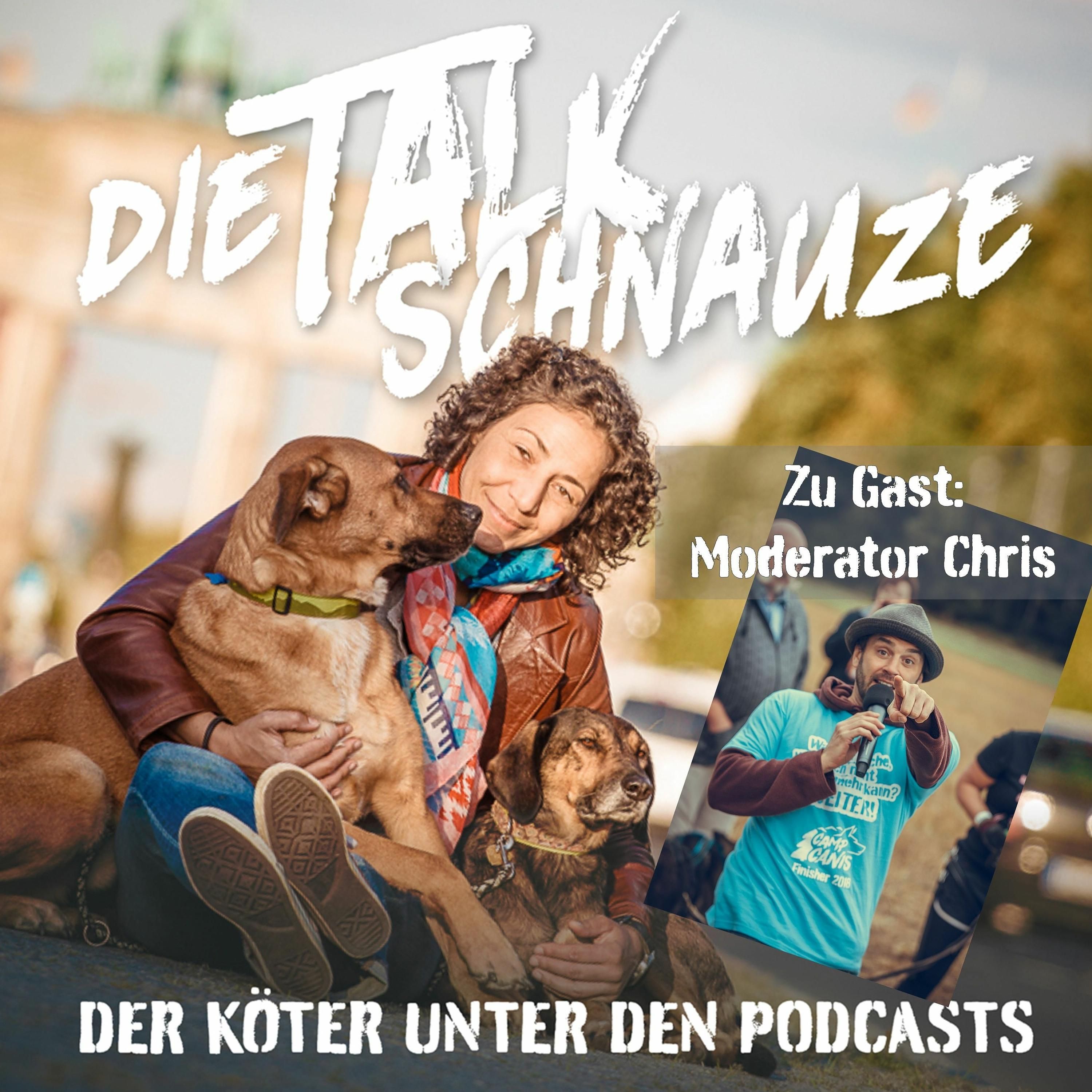 #50 - Kill The Schwan (mit Chris Noelle)