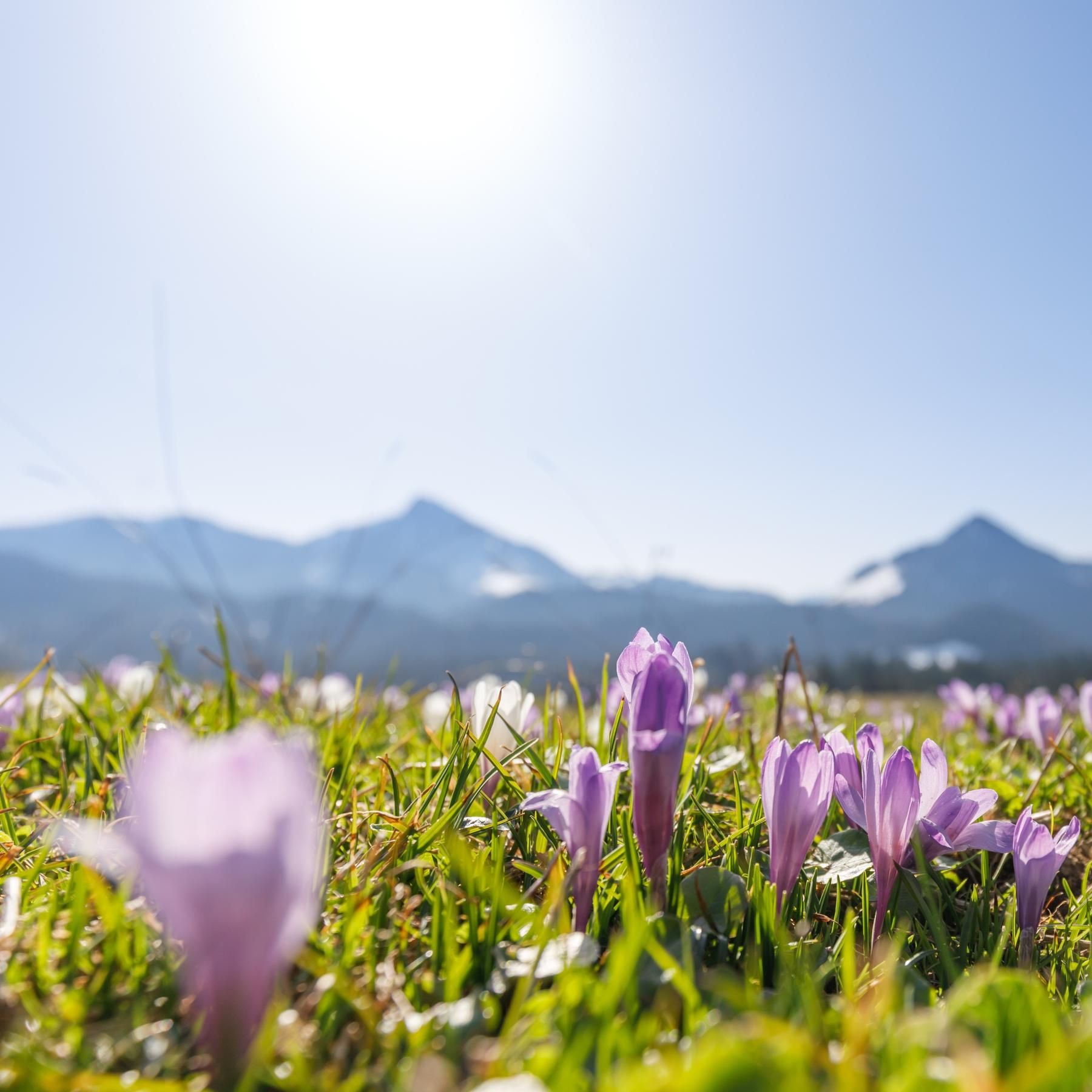 Natur - Konstrukt der Kultur