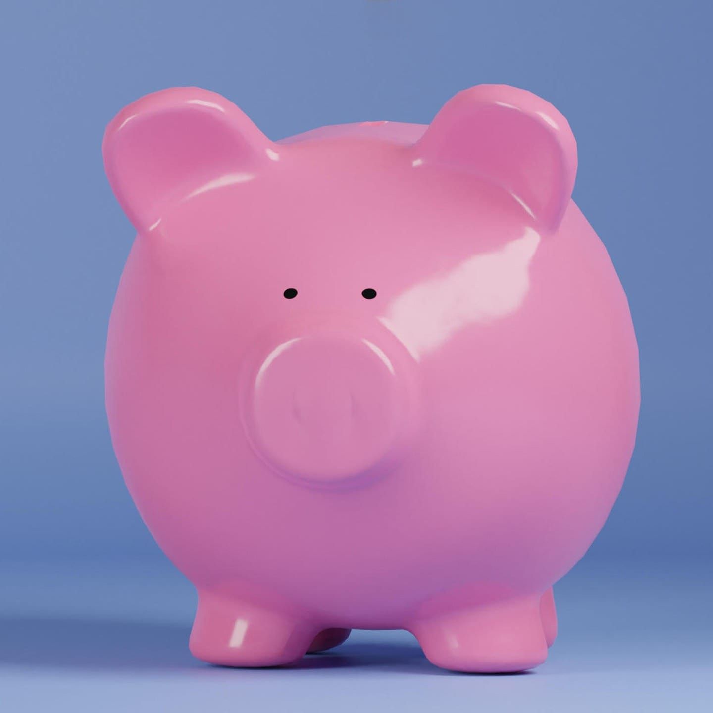 Die Tierdocs: Sparschwein