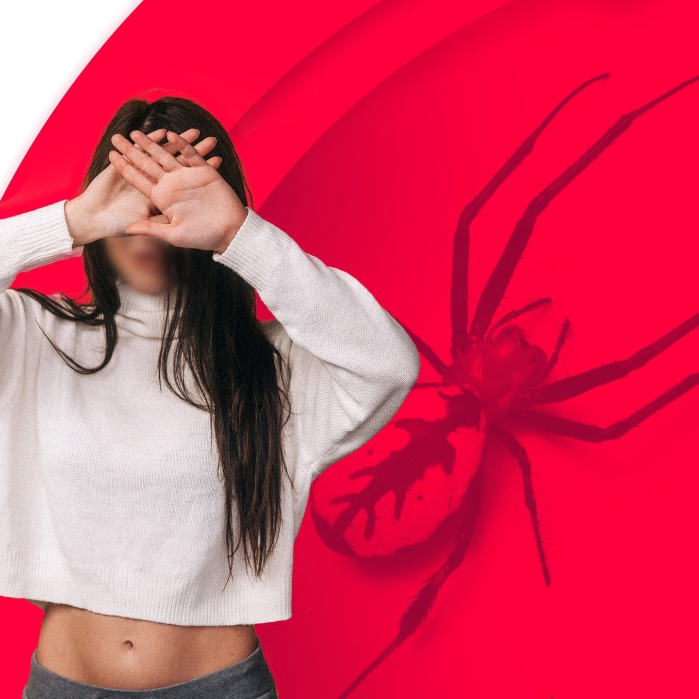 In der BDSM-Falle – Taras Spinne