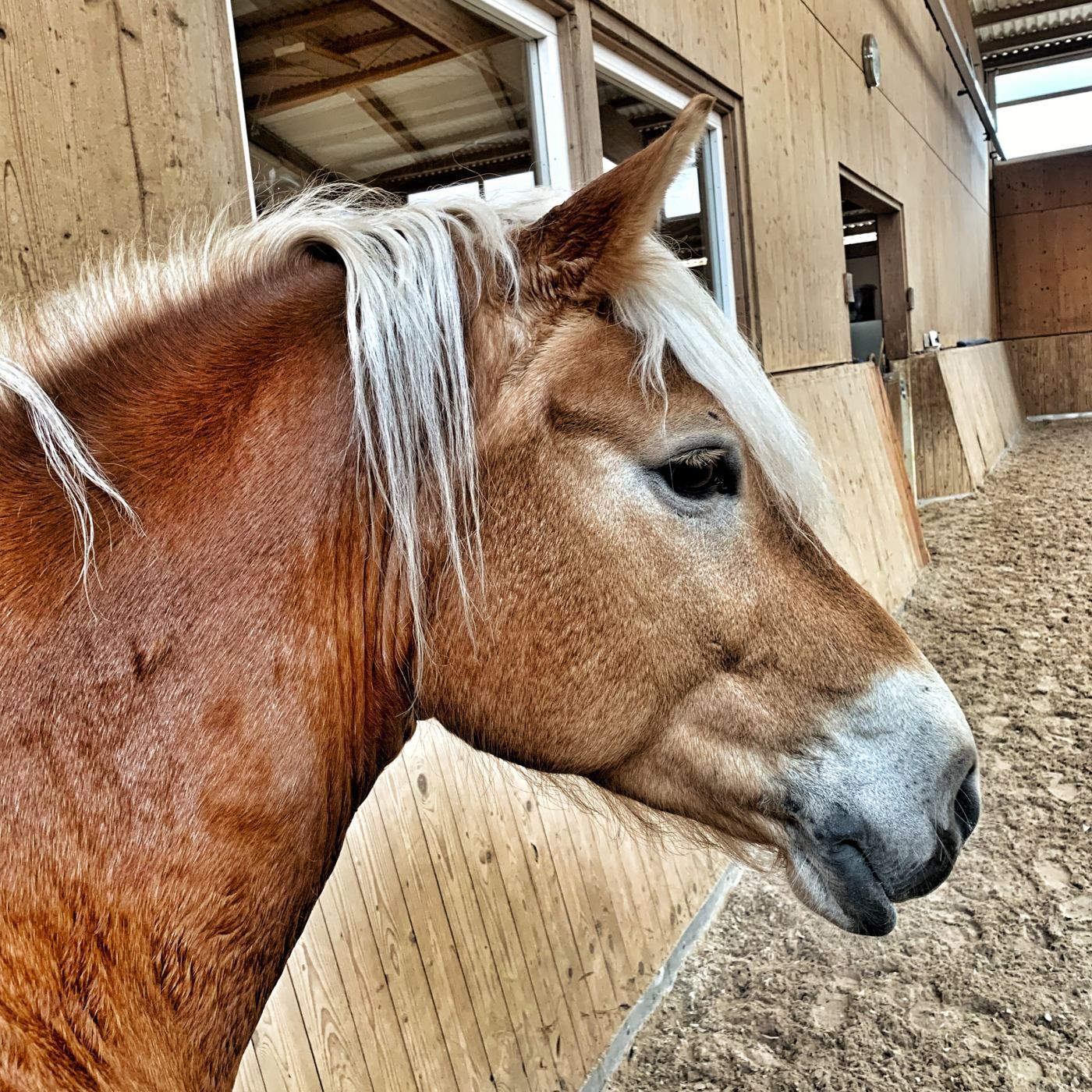 Episode 160 - Gebeugte Hanken in Lack und Leder