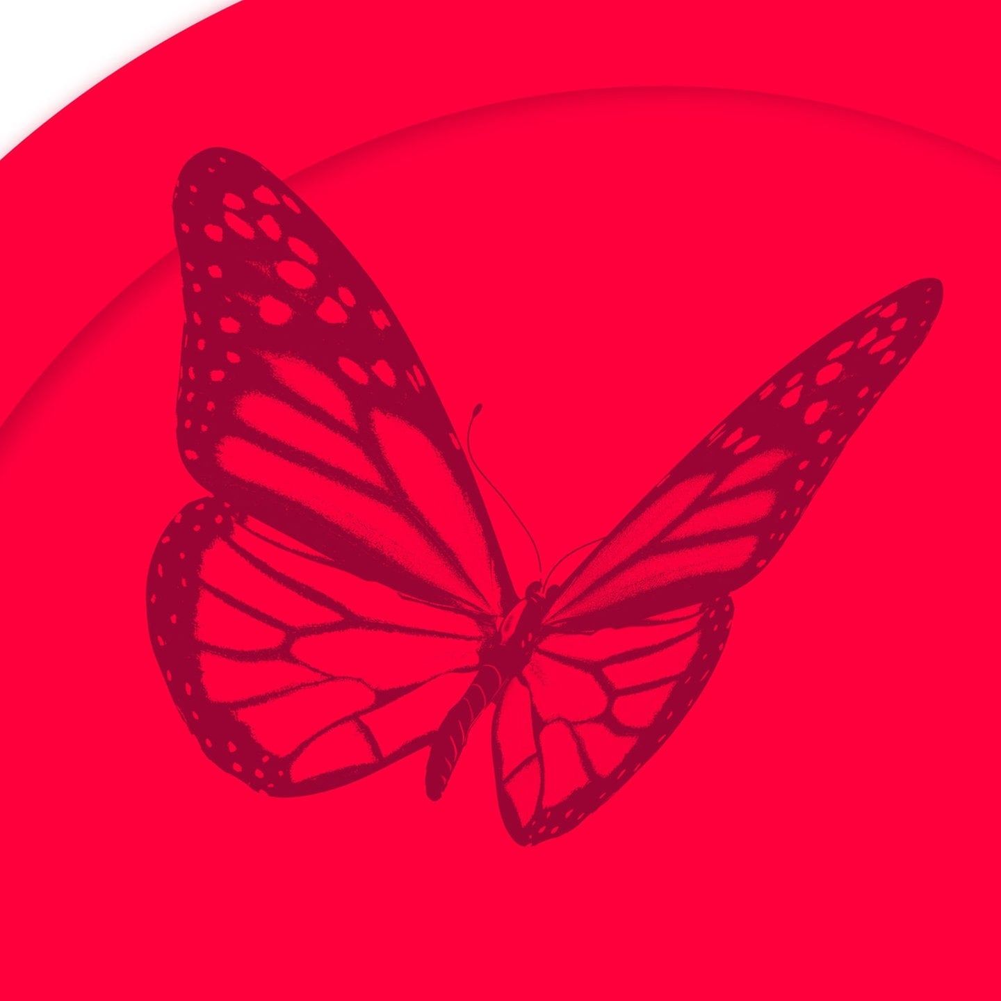 Homo-, hetero-, bisexuell oder was? – Andys Schmetterling