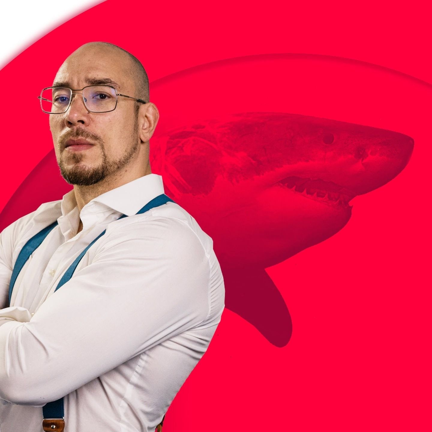Der Pokerspieler – Maximilians Hai