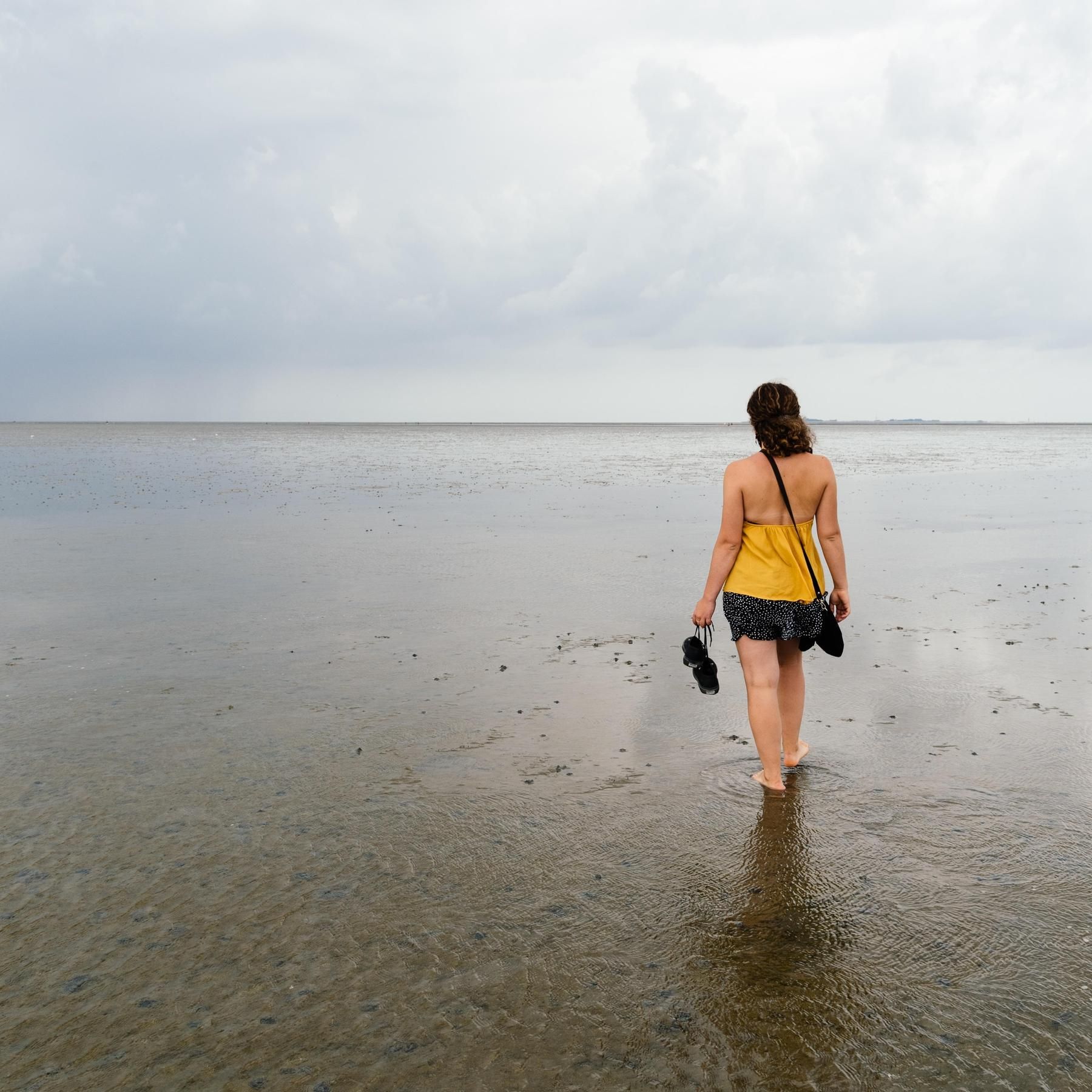 Weltnaturerbe Wattenmeer - Ökosystem im Wechsel von Flut und Ebbe