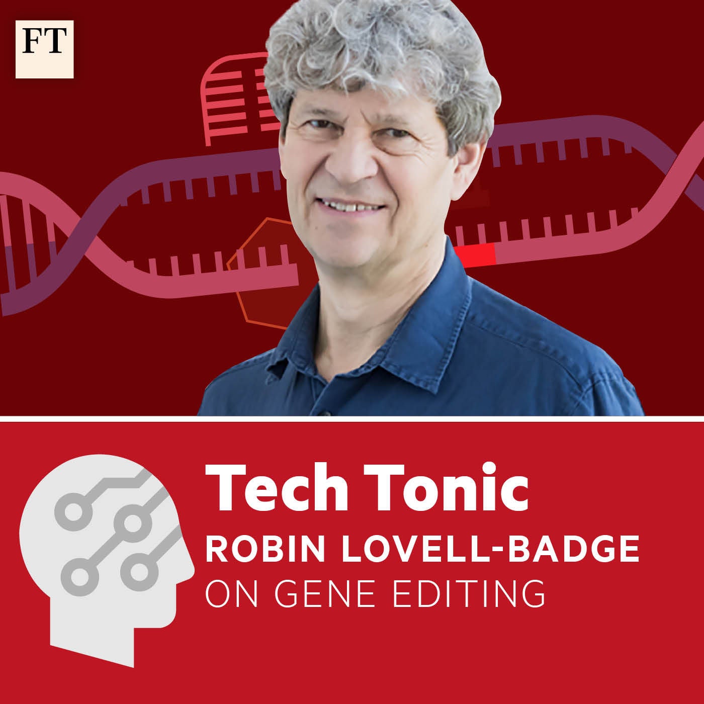 The risks and rewards of gene-editing