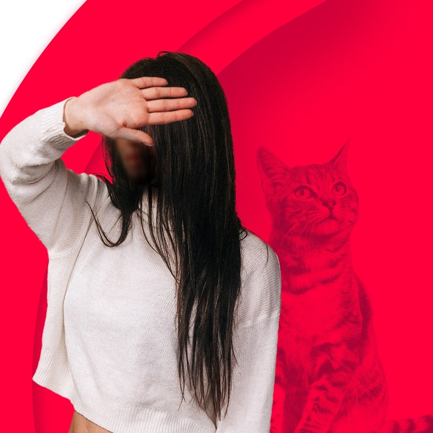 Der Hurenpass – Taras Katze