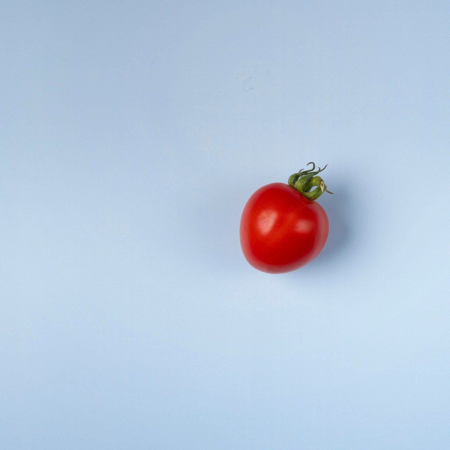 Houston, mir haben... die Tomate wieder