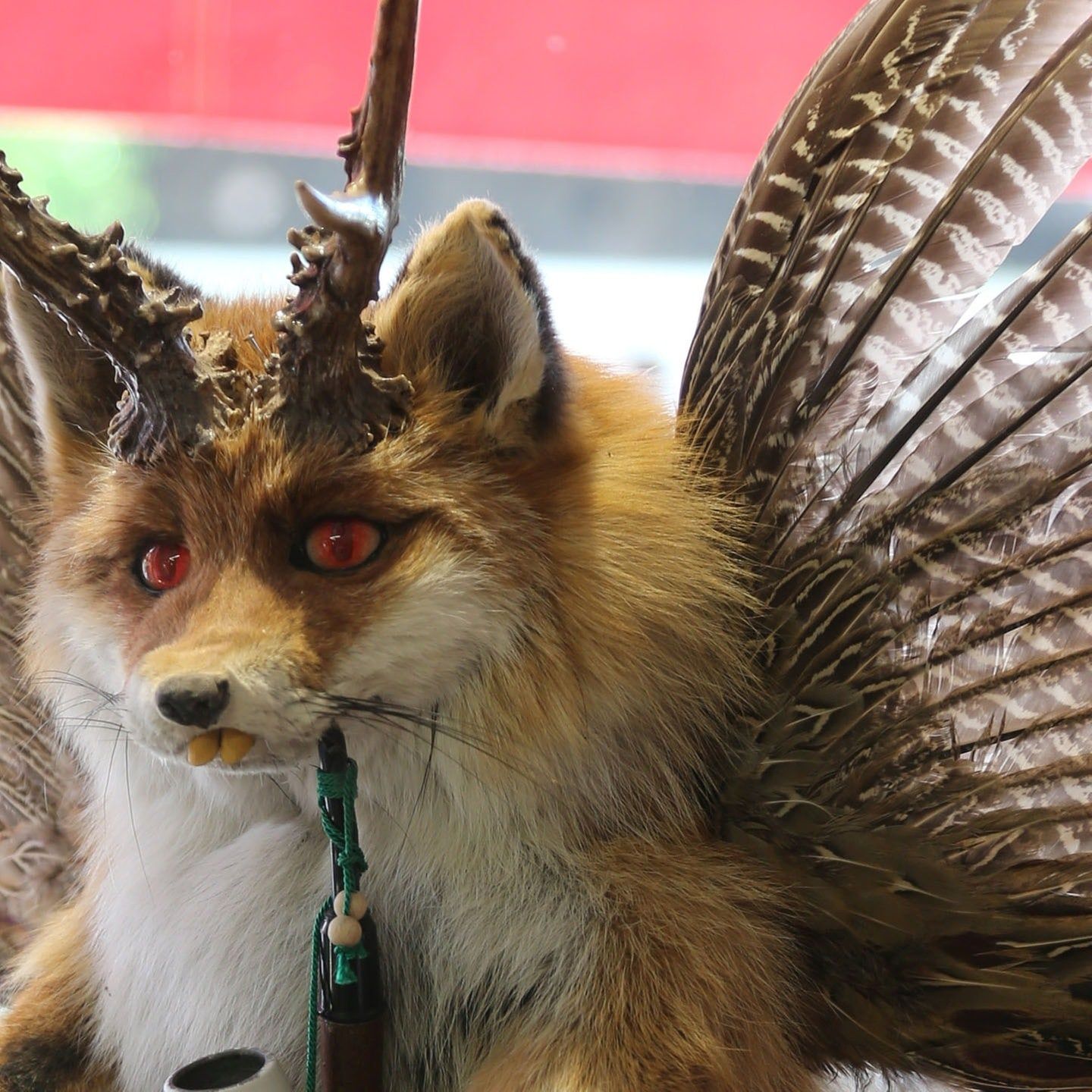Die Tierdocs: Wolpertinger