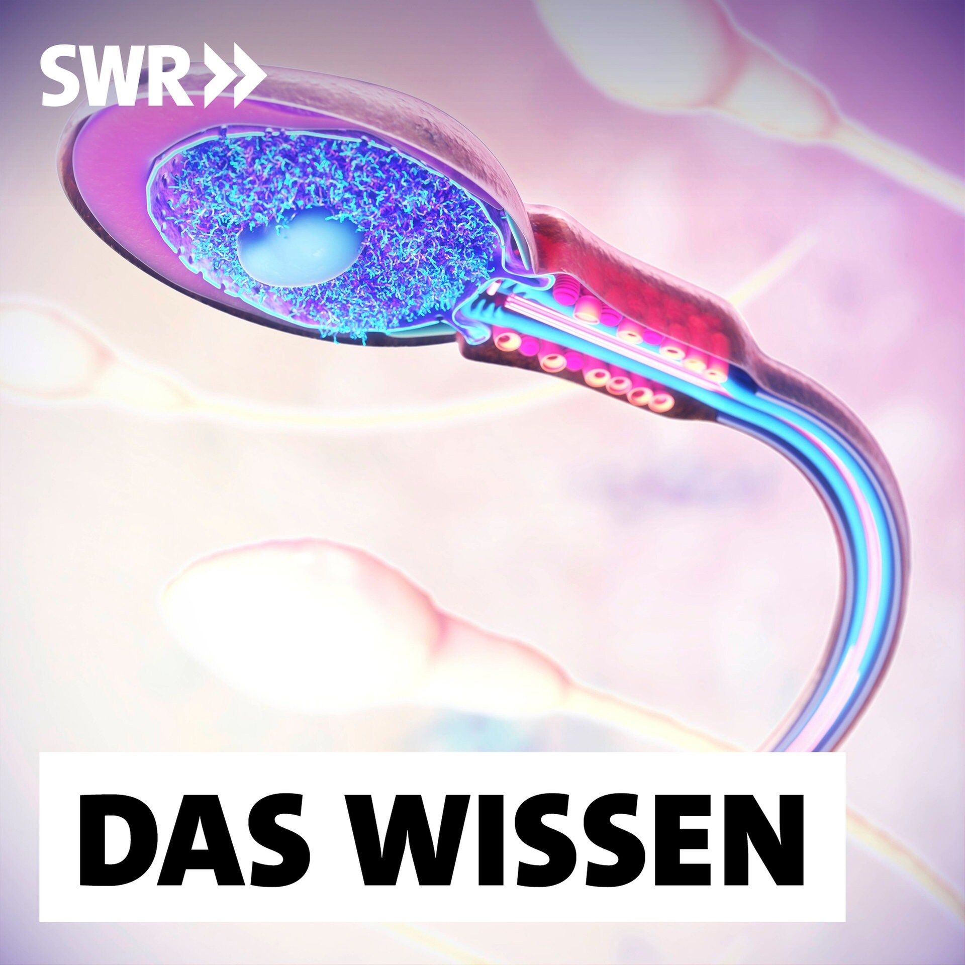 Männersache – Neue und alte Verhütungsmethoden