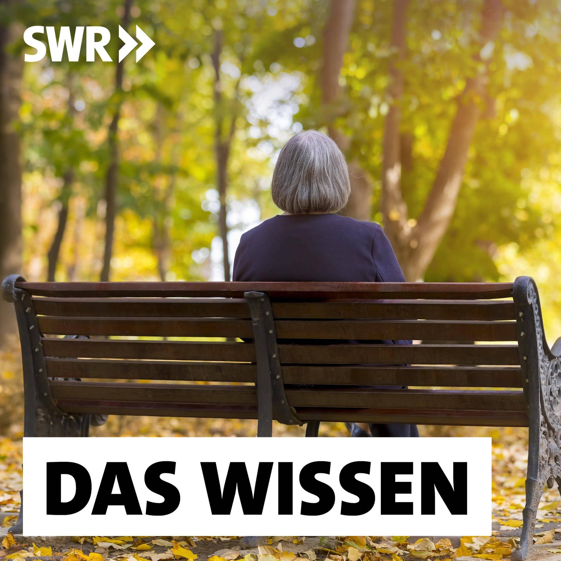 Einsamkeit überwinden – Wege aus der sozialen Isolation
