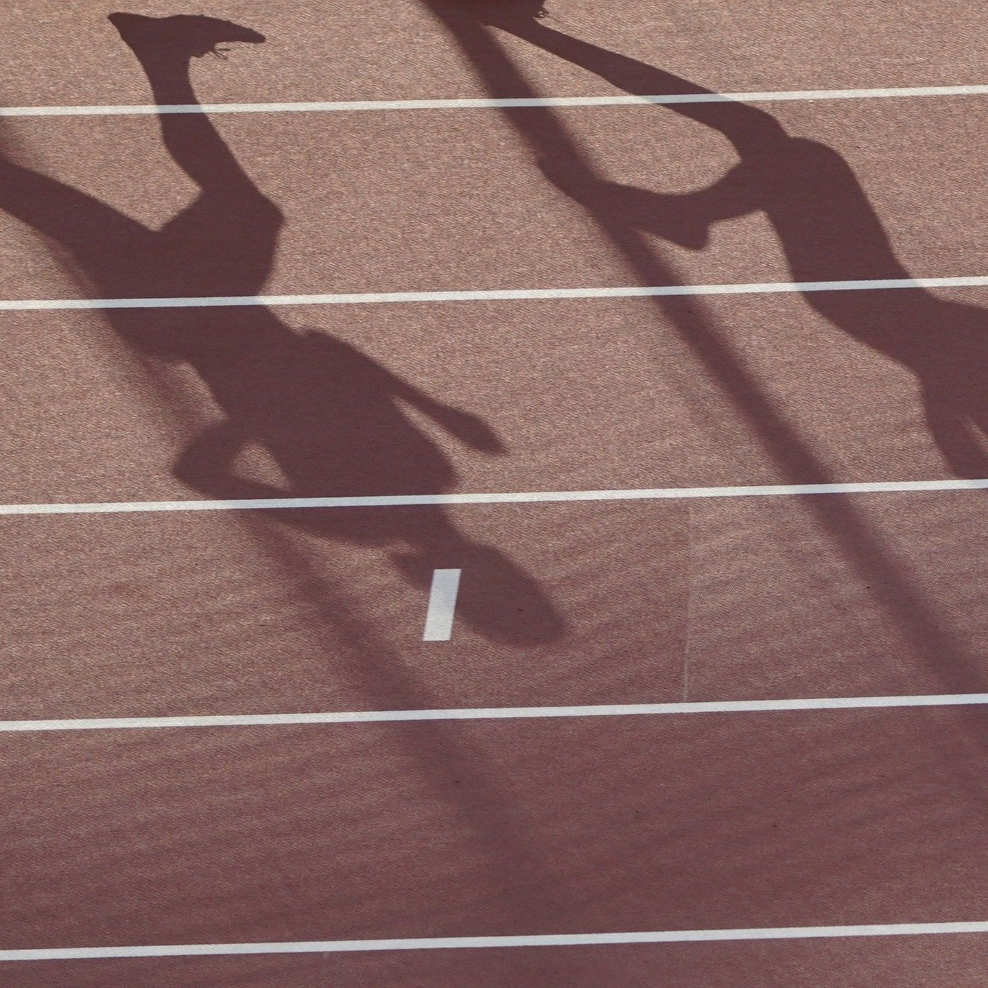 Kienzle und das Sportwissen