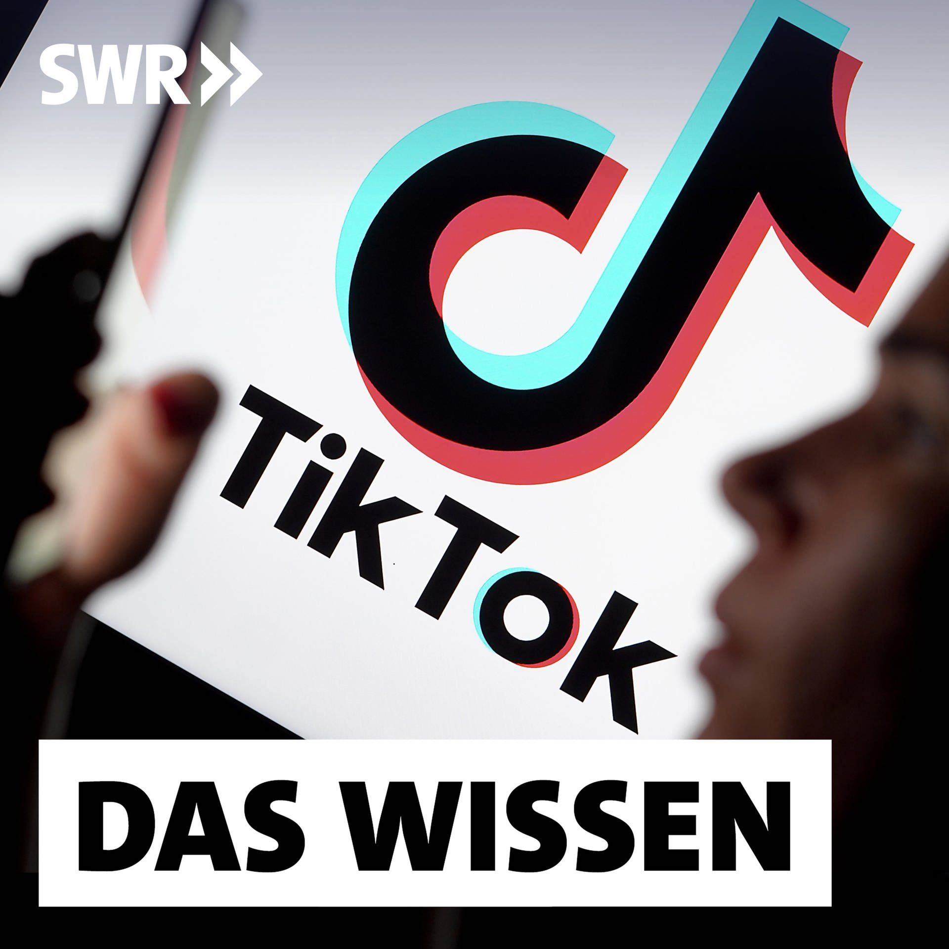TikTok als politischer Raum – News, Desinformation, Parteienwerbung