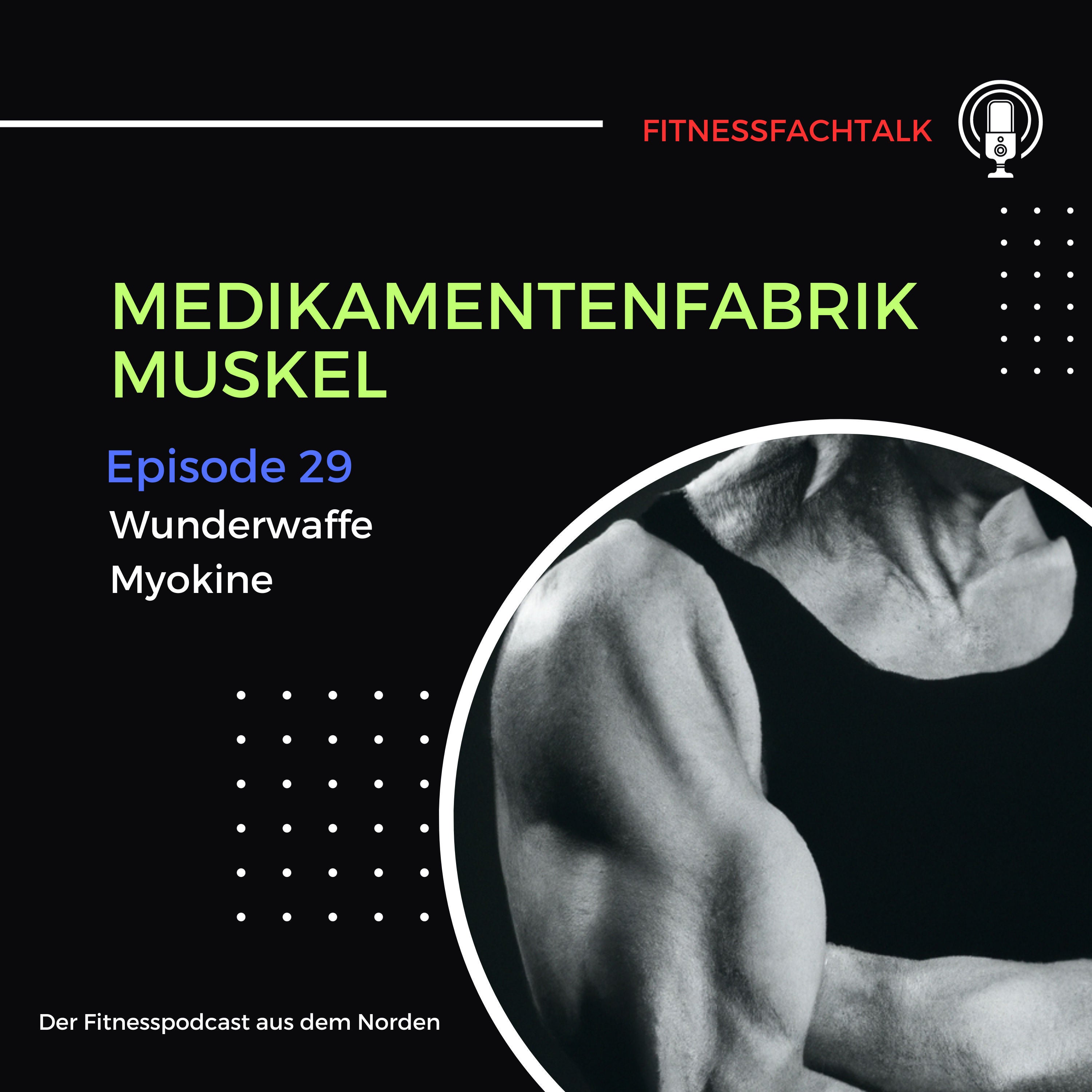 FFT 29: MedikamentenfabriK Muskel