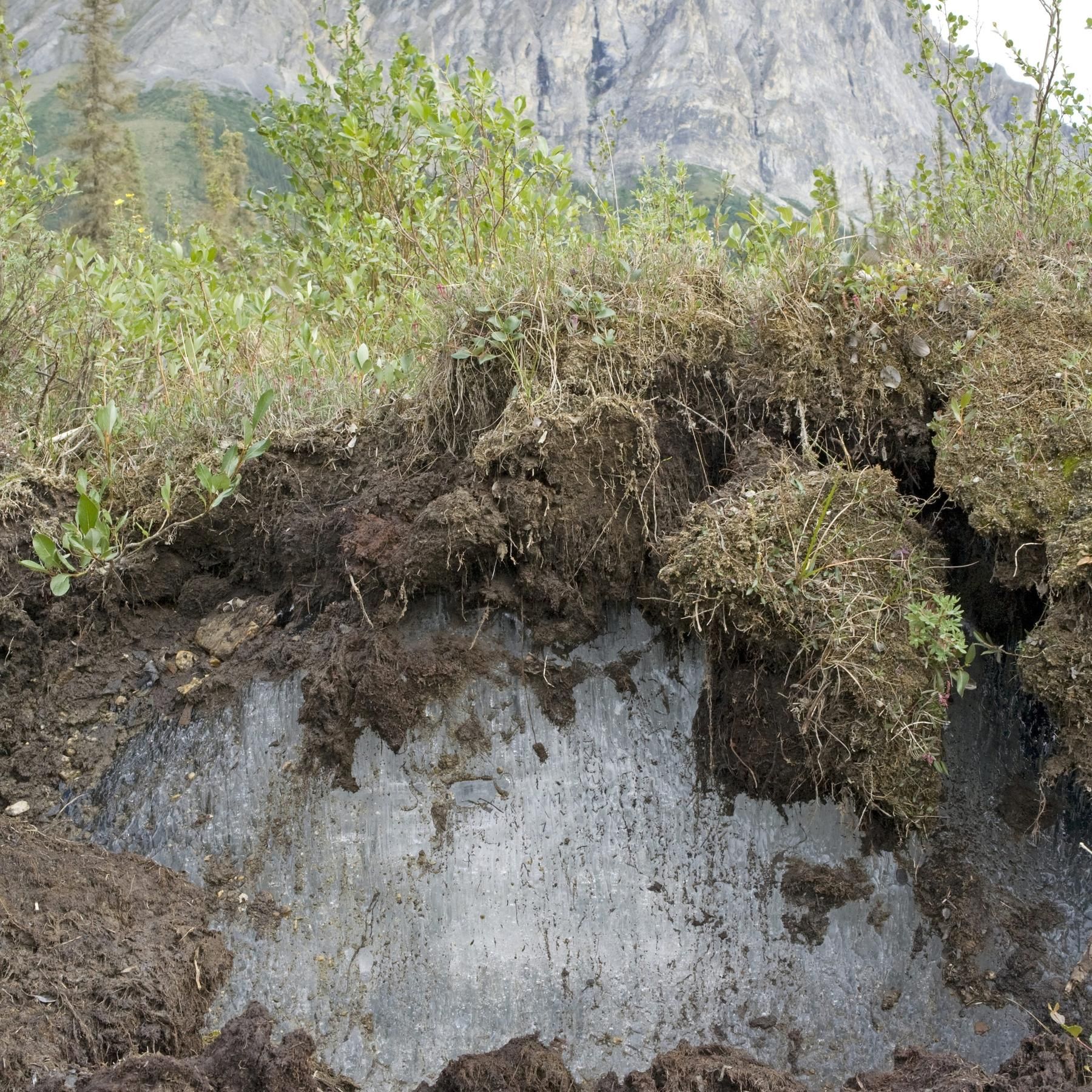 Der Permafrost taut auf - Folgen für Mensch und Umwelt