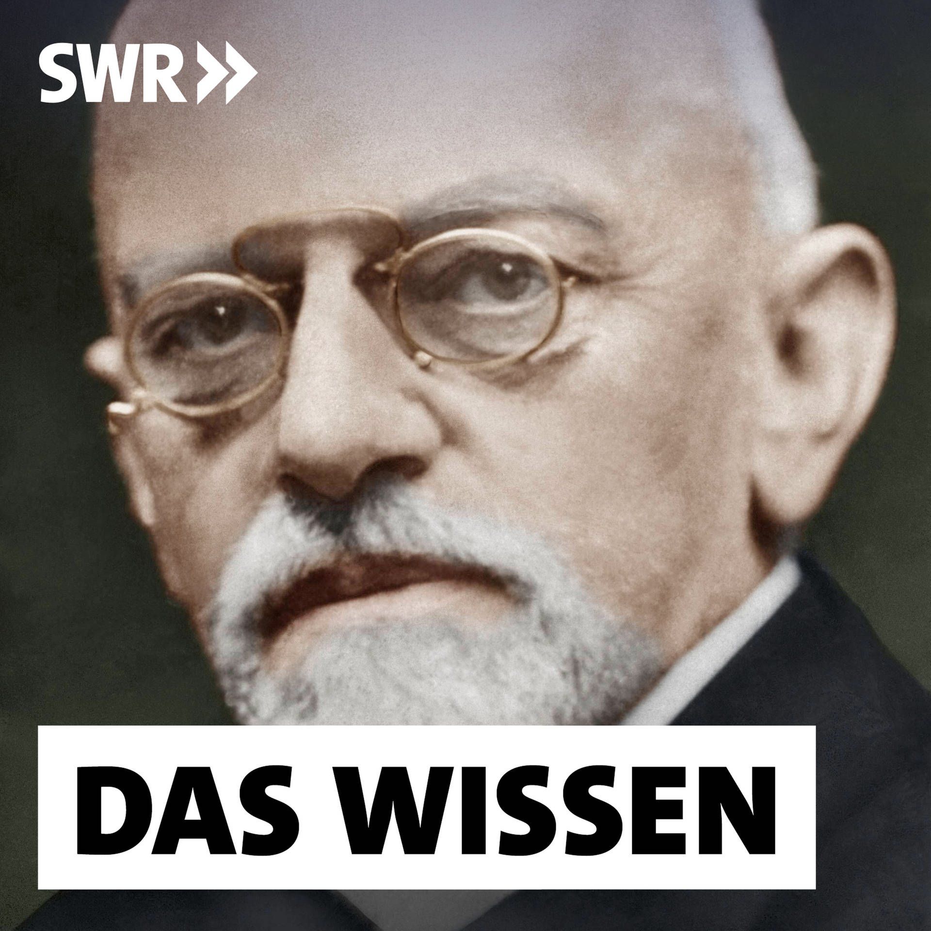 David Hilbert und die Macht der Beweise