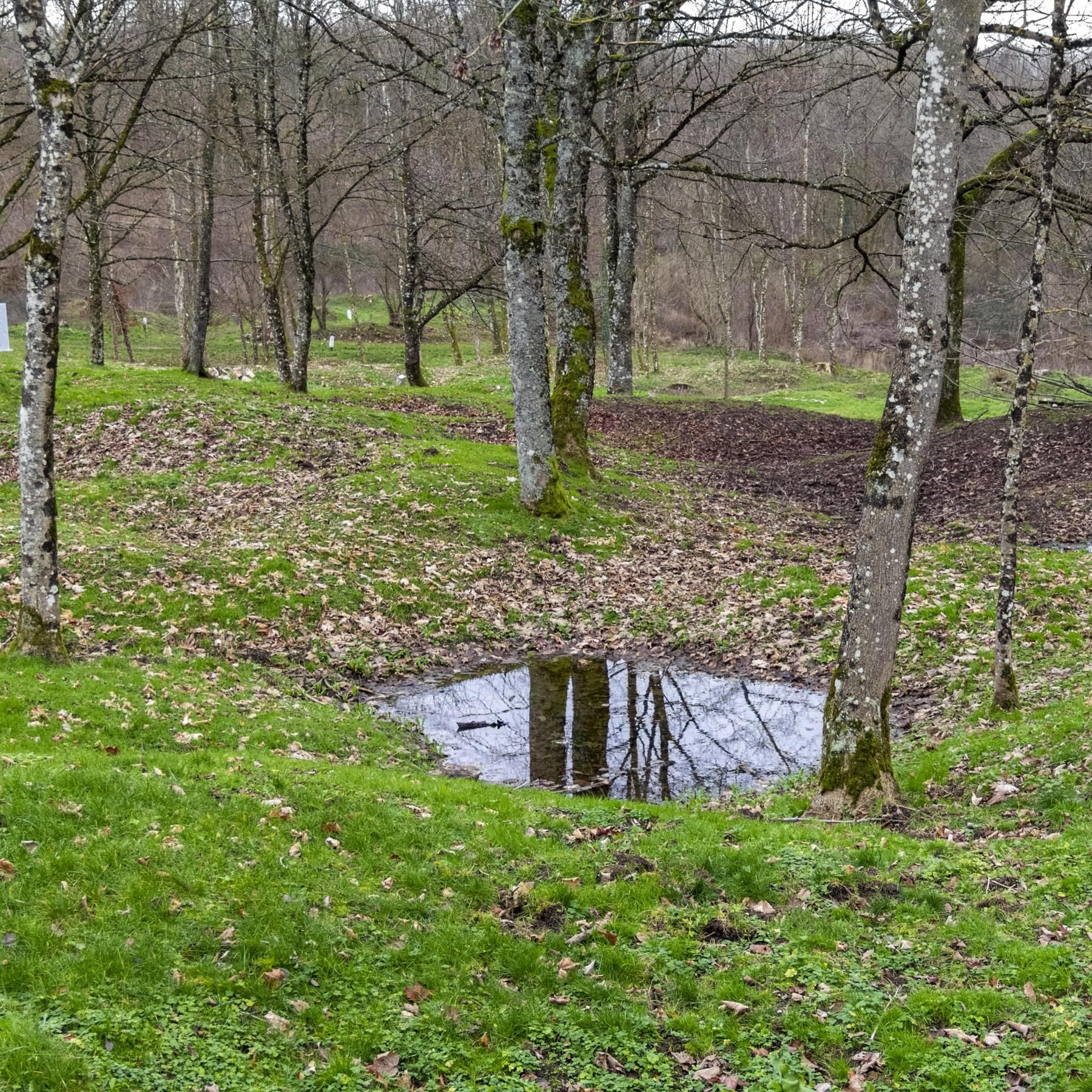 Die Pfütze - Ein Versteck zum Überleben