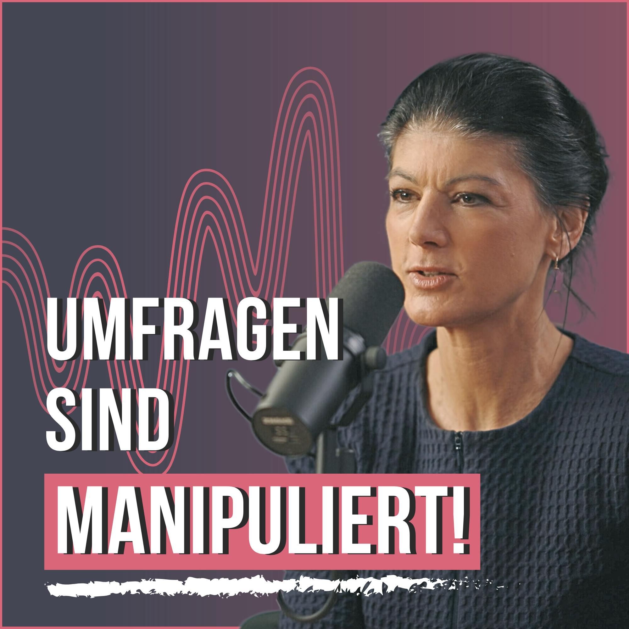 #166 So beeinflussen Medien die Wahl - Sahra Wagenknecht packt aus