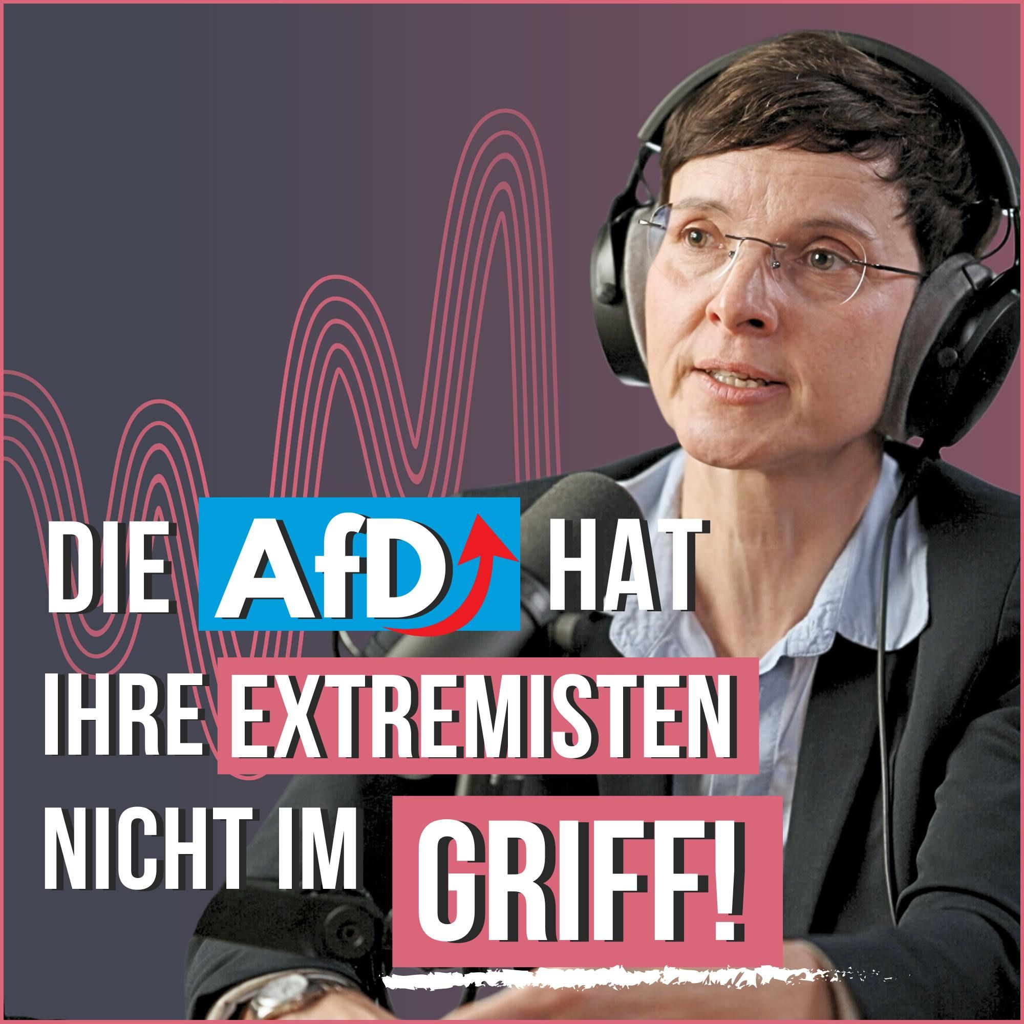#164 AfD-Gründerin: Darum sind so viele Politiker inkompetent (Frauke Petry)