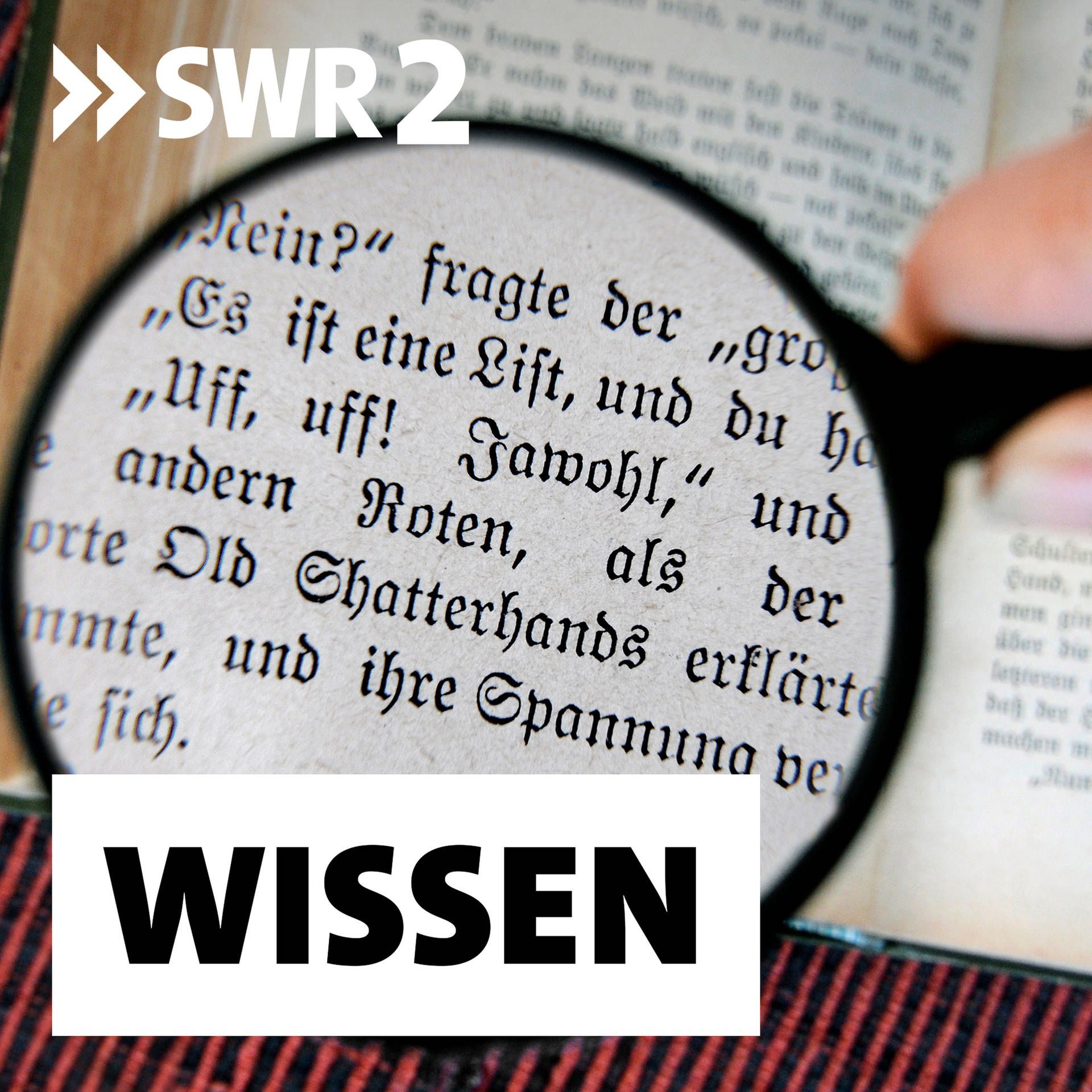 Literatur und diskriminierende Sprache – Wie Klassiker modernisiert werden