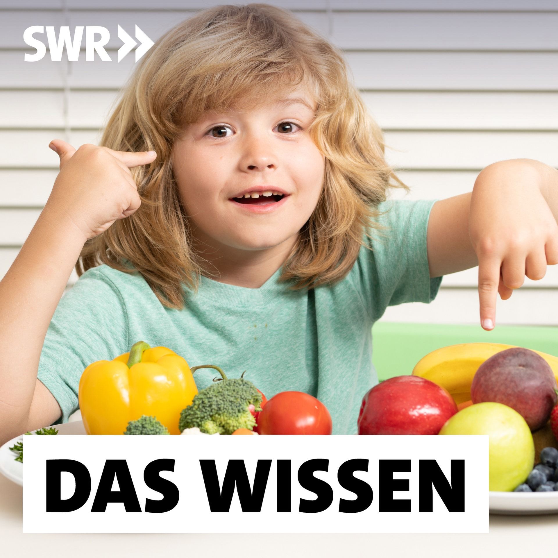 Bildung, Bewegung, Brokkoli – Gesundheitswissen von Kindern