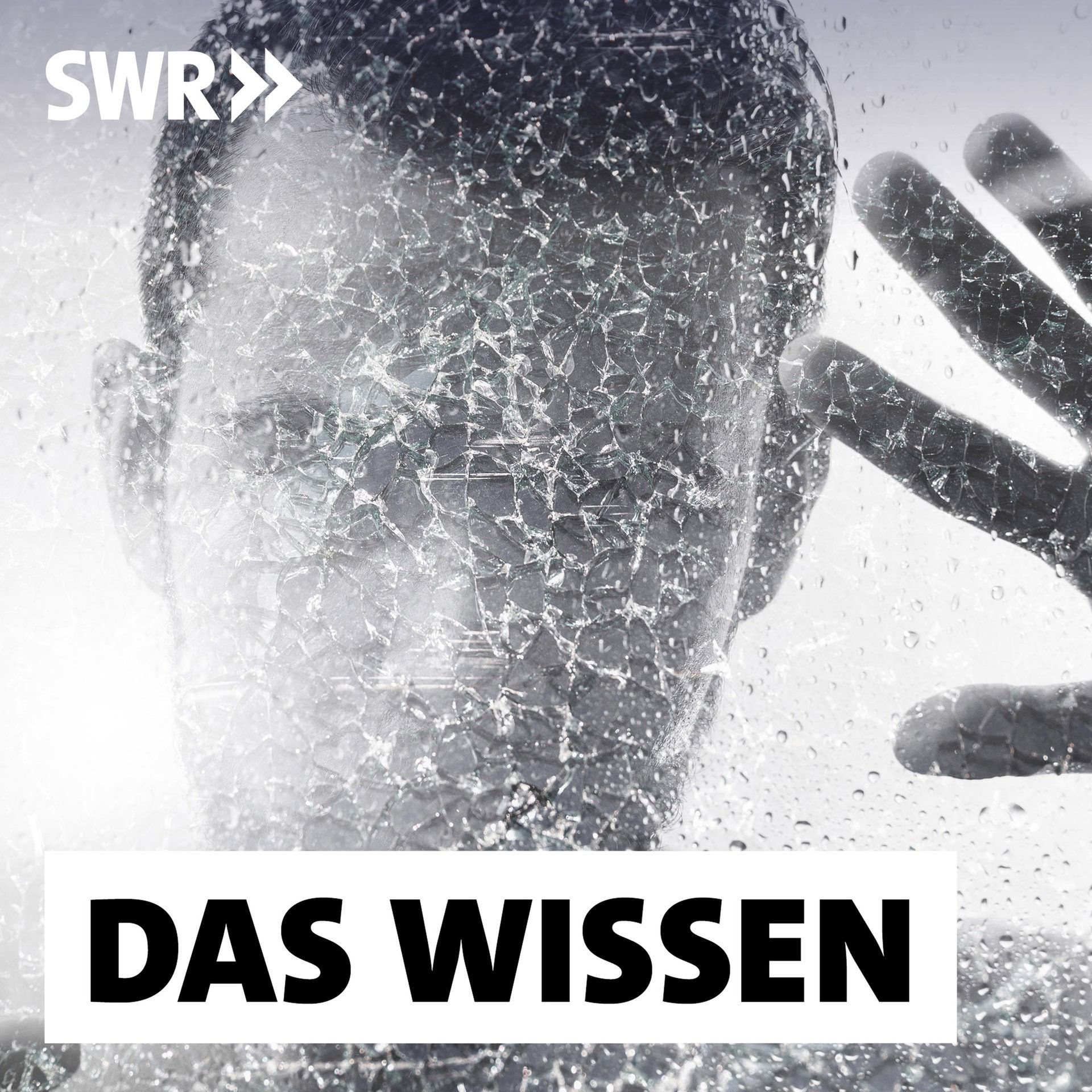 Toxische Männlichkeit – Die Weltsicht der Wutmänner