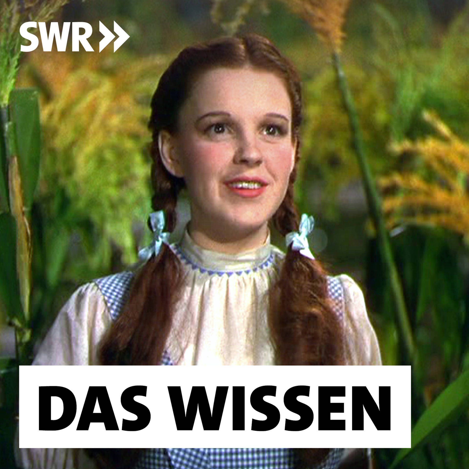 Die Schauspielerin Judy Garland – Ikone der LGBTQ-Bewegung