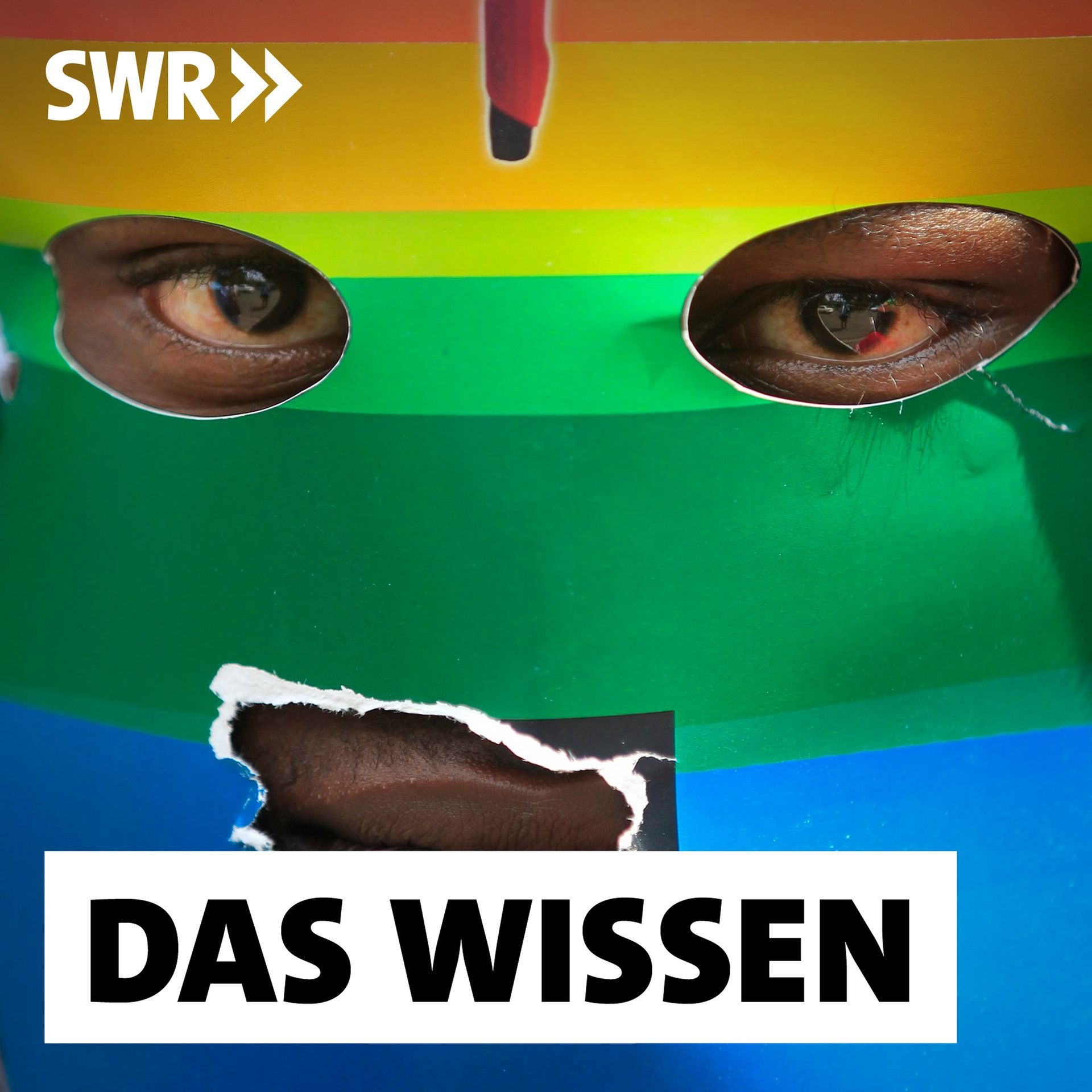 Homosexuellen-Verfolgung in Afrika und der Einfluss von US-Missionaren