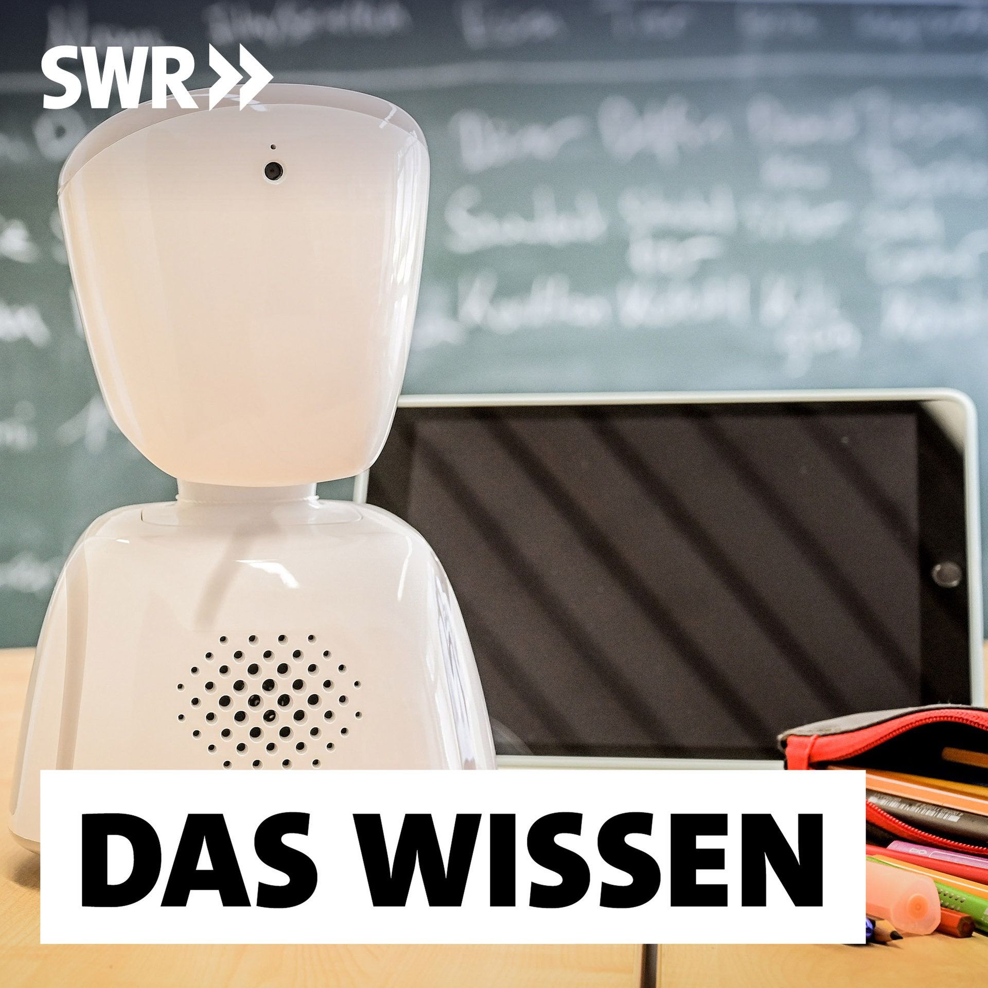 Wie chronisch kranke Schüler unterrichtet werden