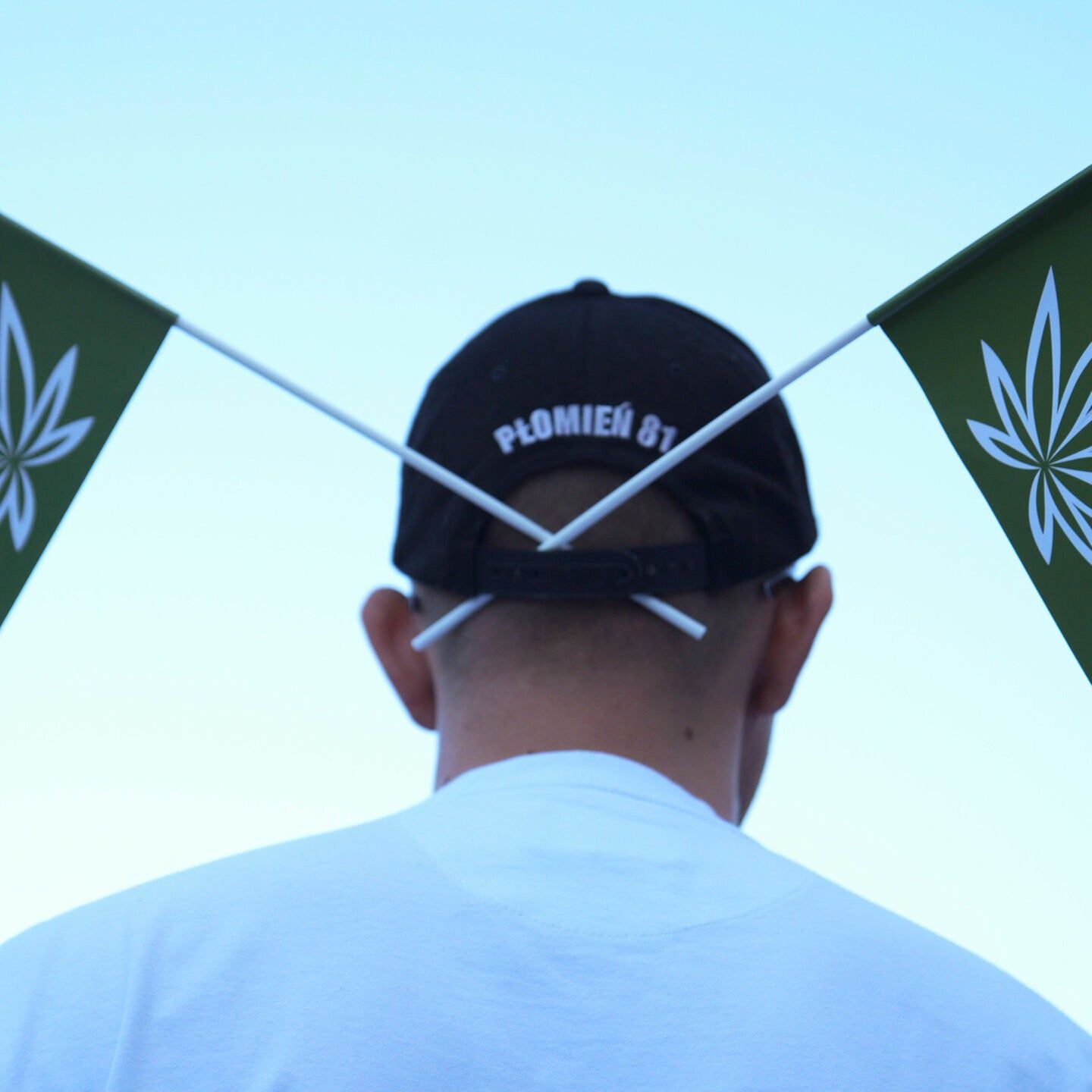 Tuten Gag: Cannabisierung von Legalis / Legalisierung von Cannabis