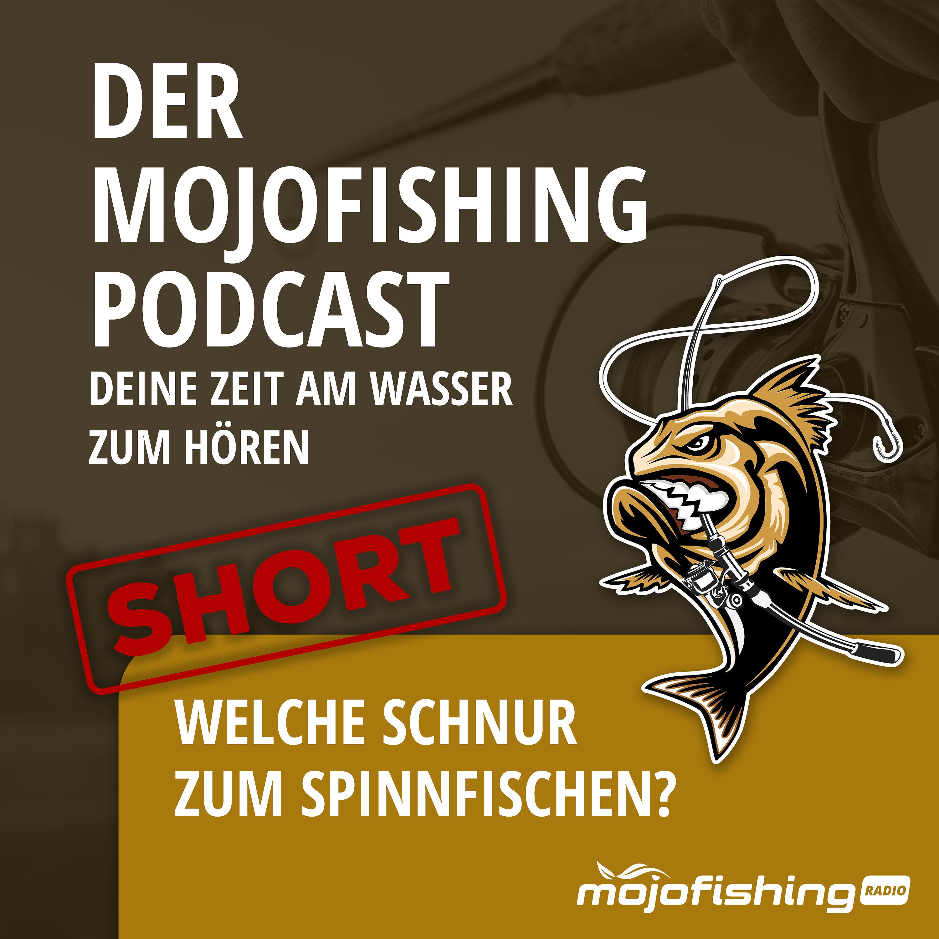 SHORT - Welche Schnur zum Spinnfischen?