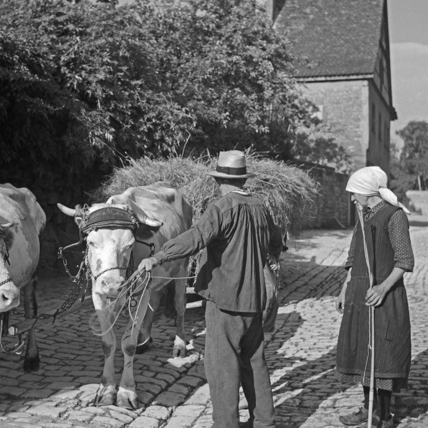 Der Bayerische Bauernbund - Eine Partei für die Dörfler