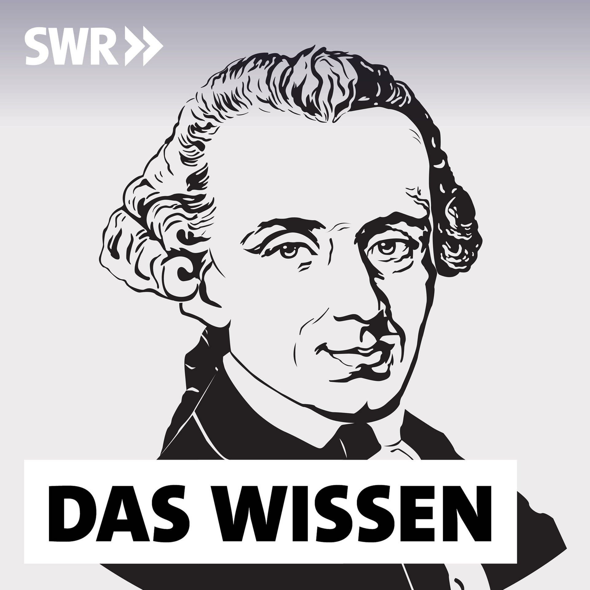 Kants Philosophie heute – Frieden, Moral, Erkenntnis