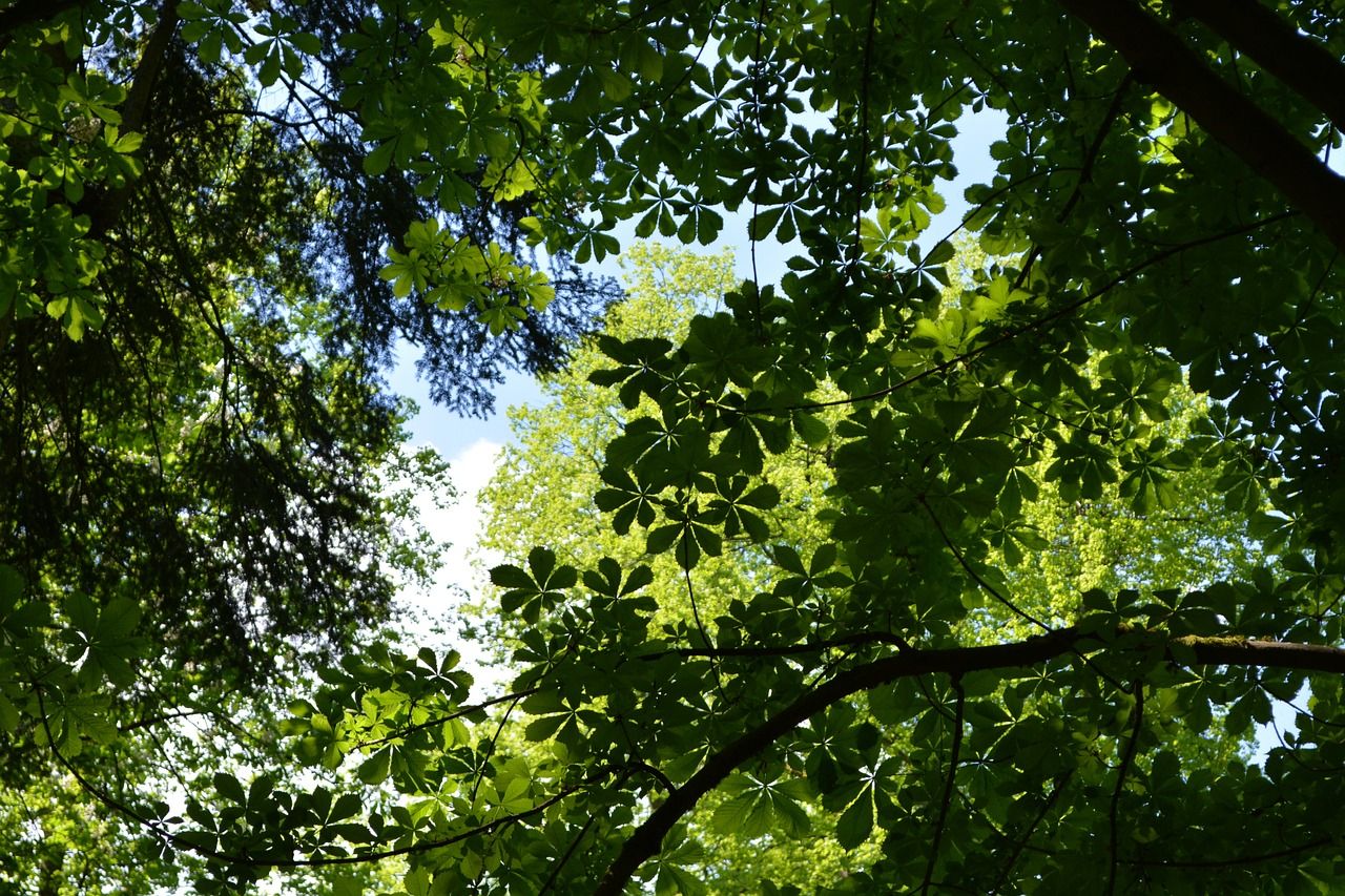 Breathwork