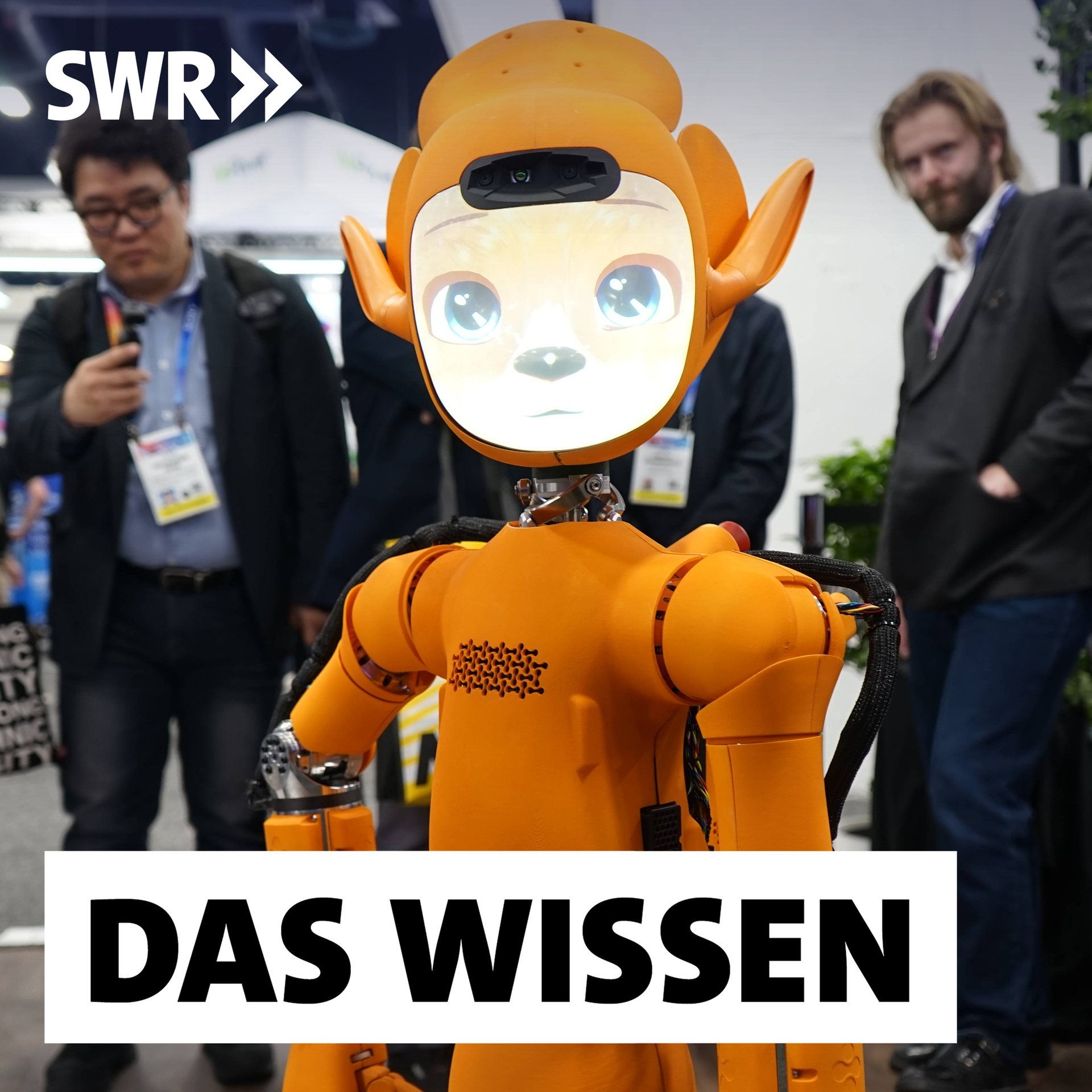 Roboter in Menschengestalt – Neue Begleiter für unseren Alltag
