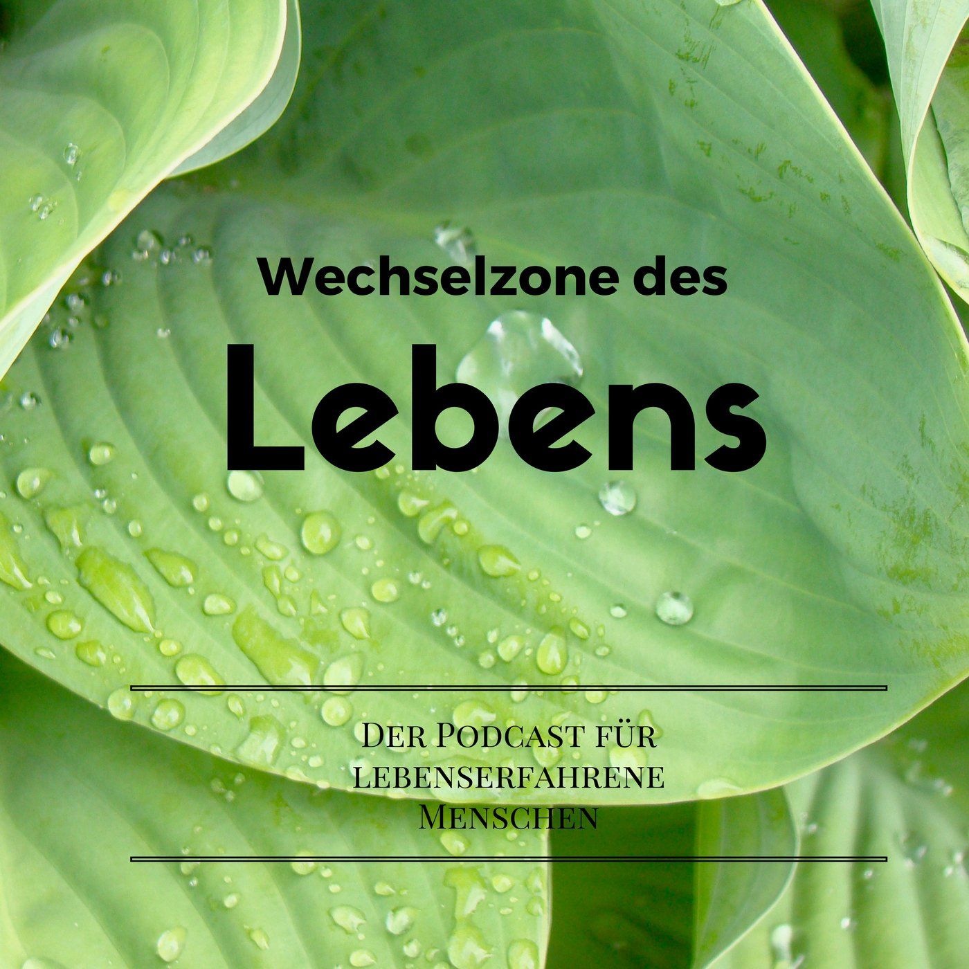 Wieder da...