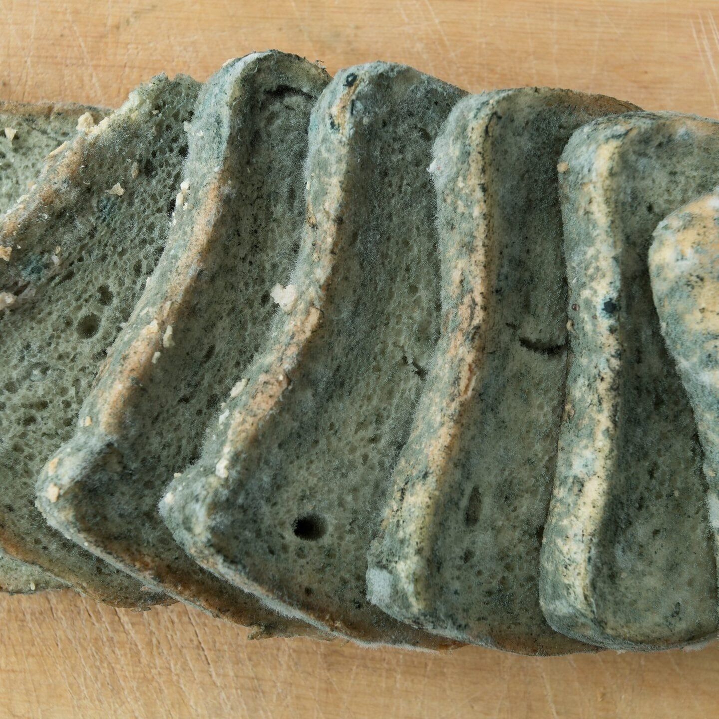 Karls coole Gesundheitskniffs: Brotdose nach den Ferien