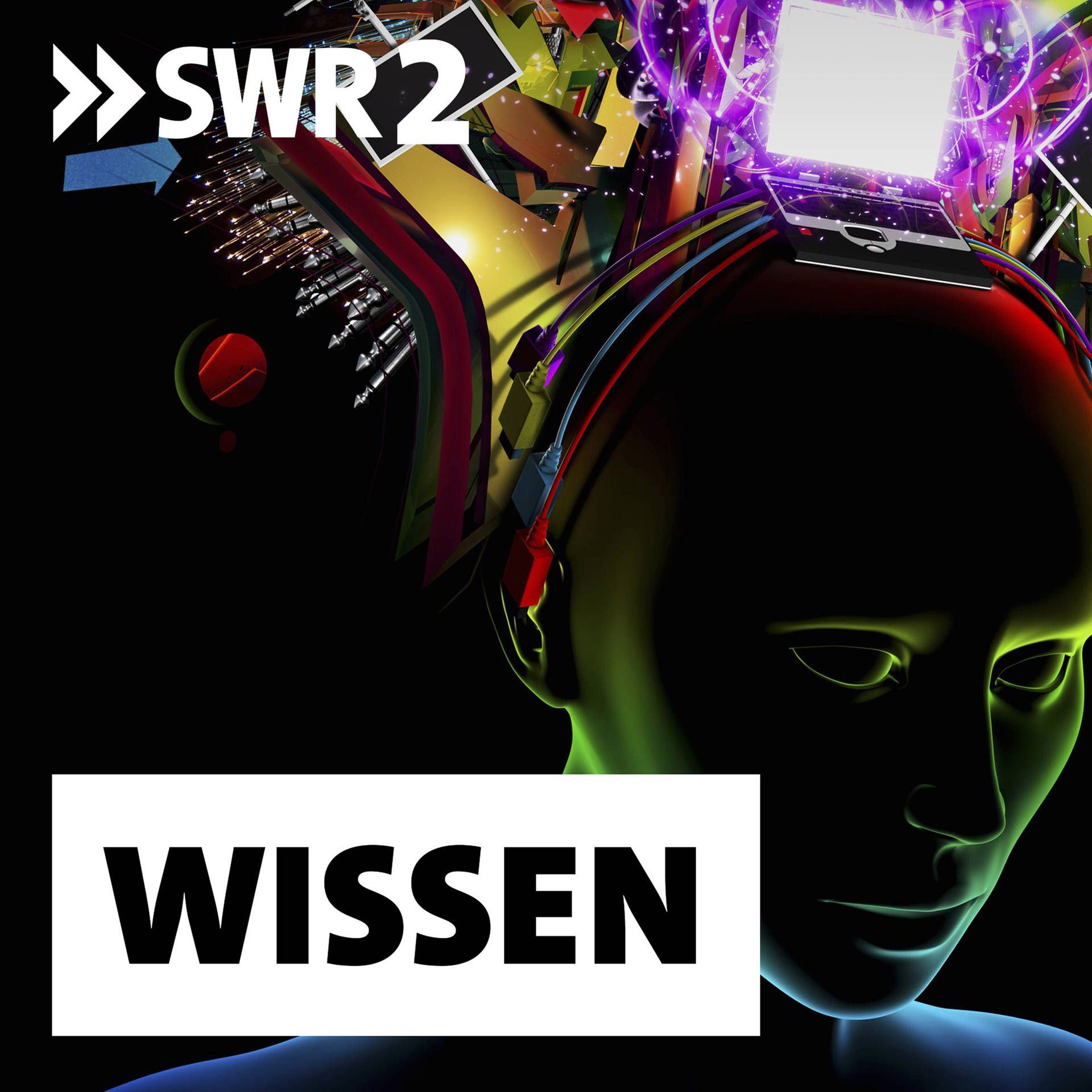 Komplexität und ihre Fallen | "Die Welt ist vulnerabler geworden."