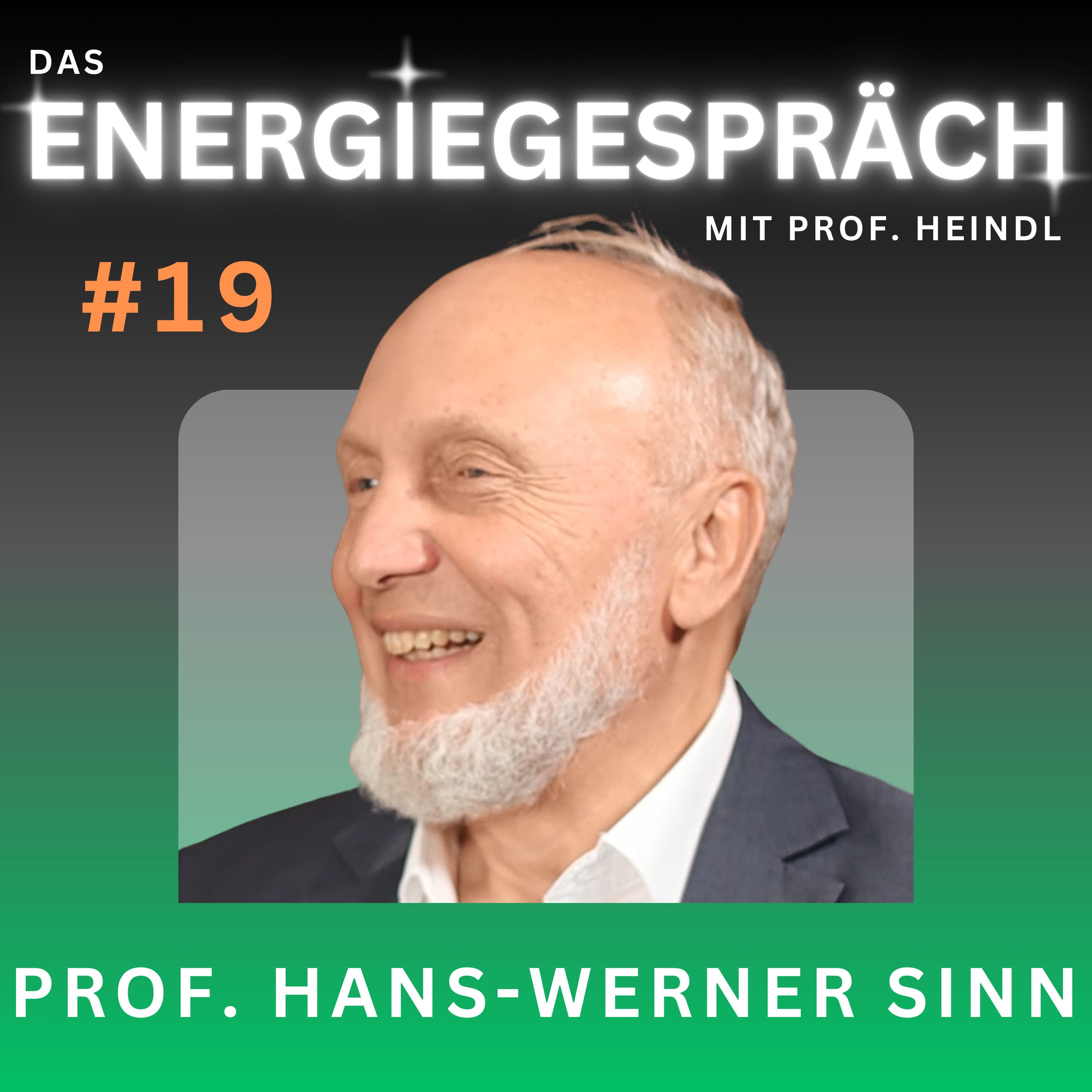Prof. Hans-Werner Sinn: Energiepreis, Grünes Paradoxon, CO₂ | Eduard Heindl Energiegespräch #019