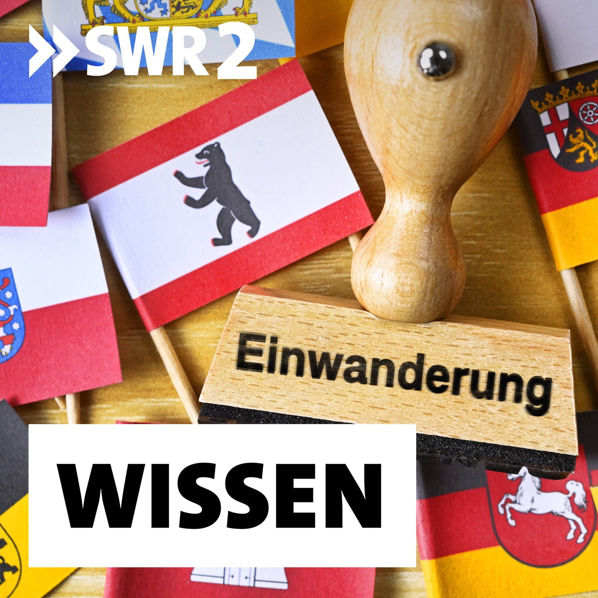 Fit für die postmigrantische Gesellschaft | "Wie man Migranten direkt vor Ort helfen kann"