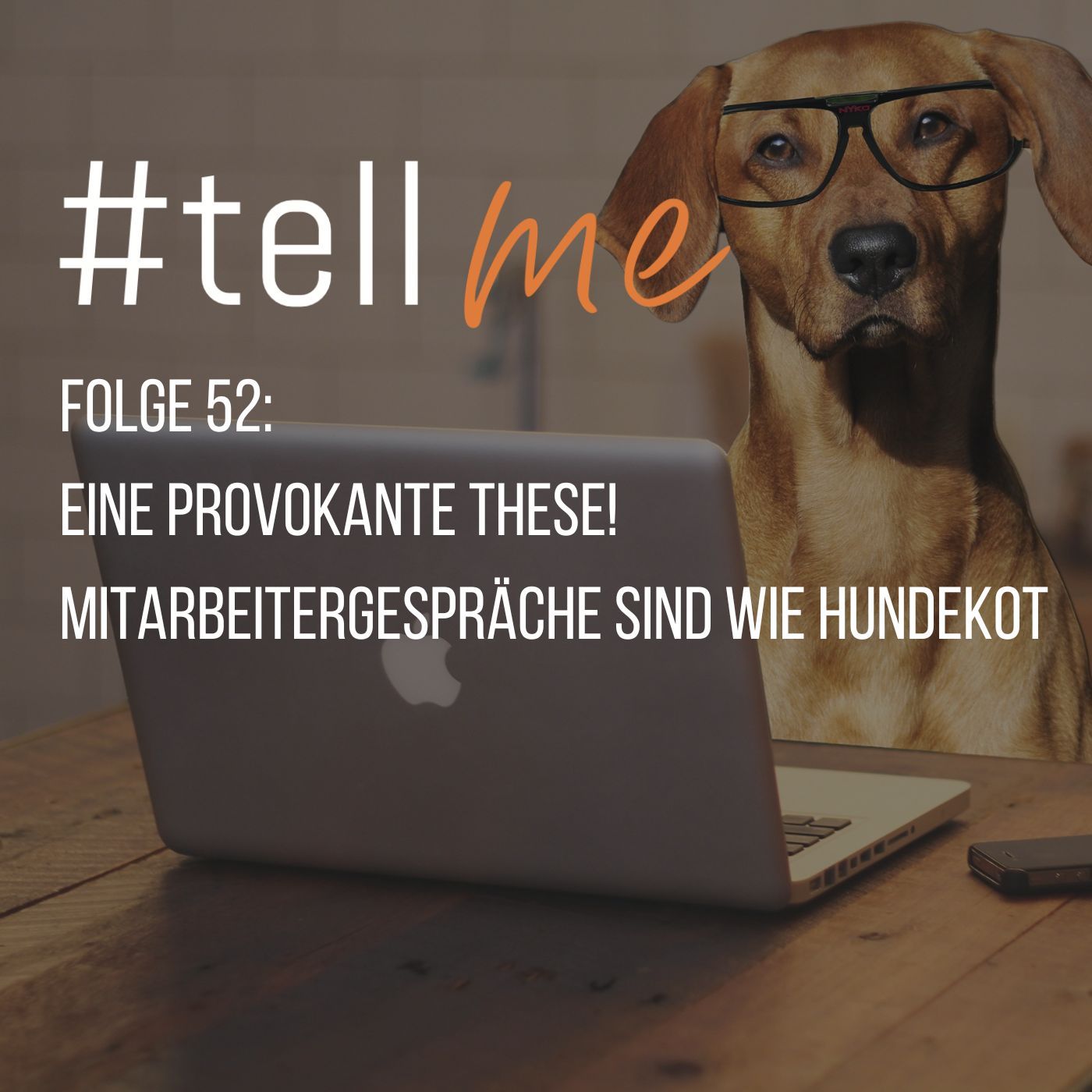 52_Eine provokante These