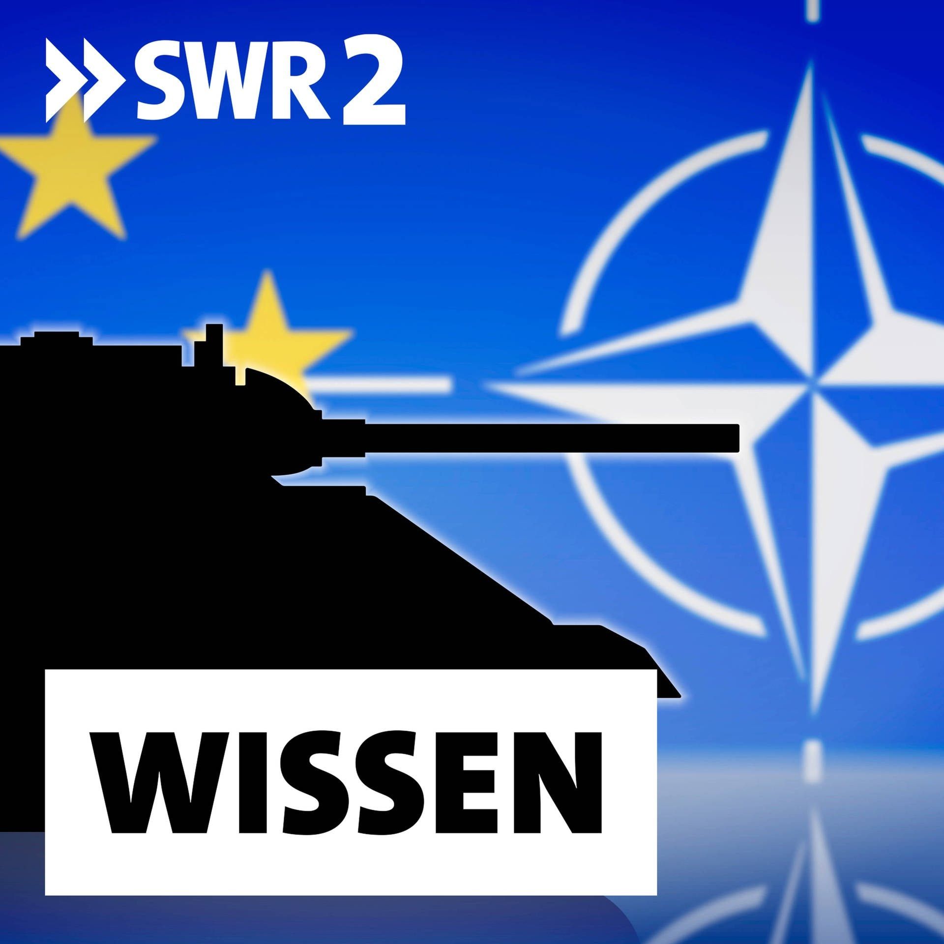 Wie die NATO Europa schützen will | Neue Aufrüstung (1/3)