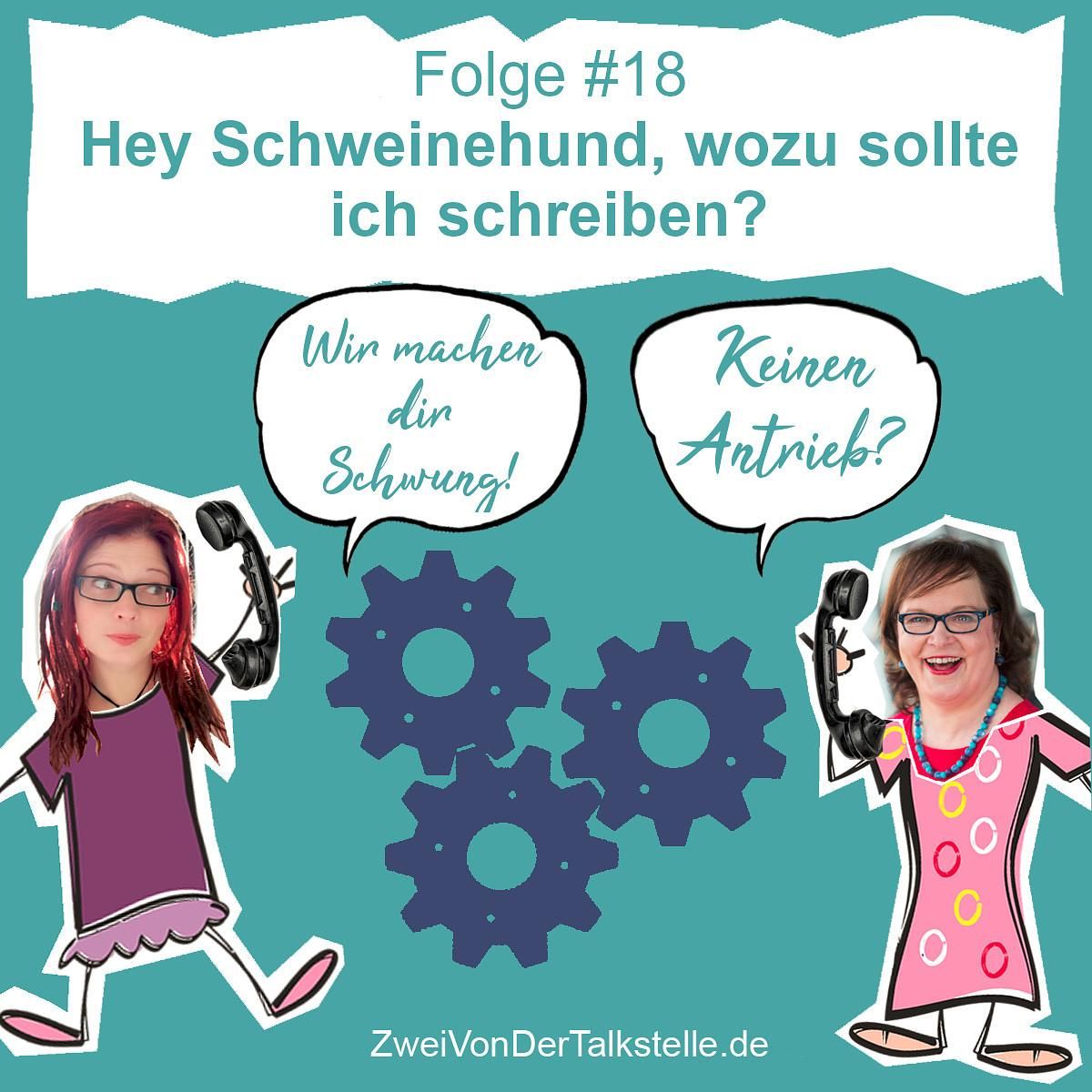 DZVDT #18 - Hey Schweinehund, wozu sollte ich schreiben?