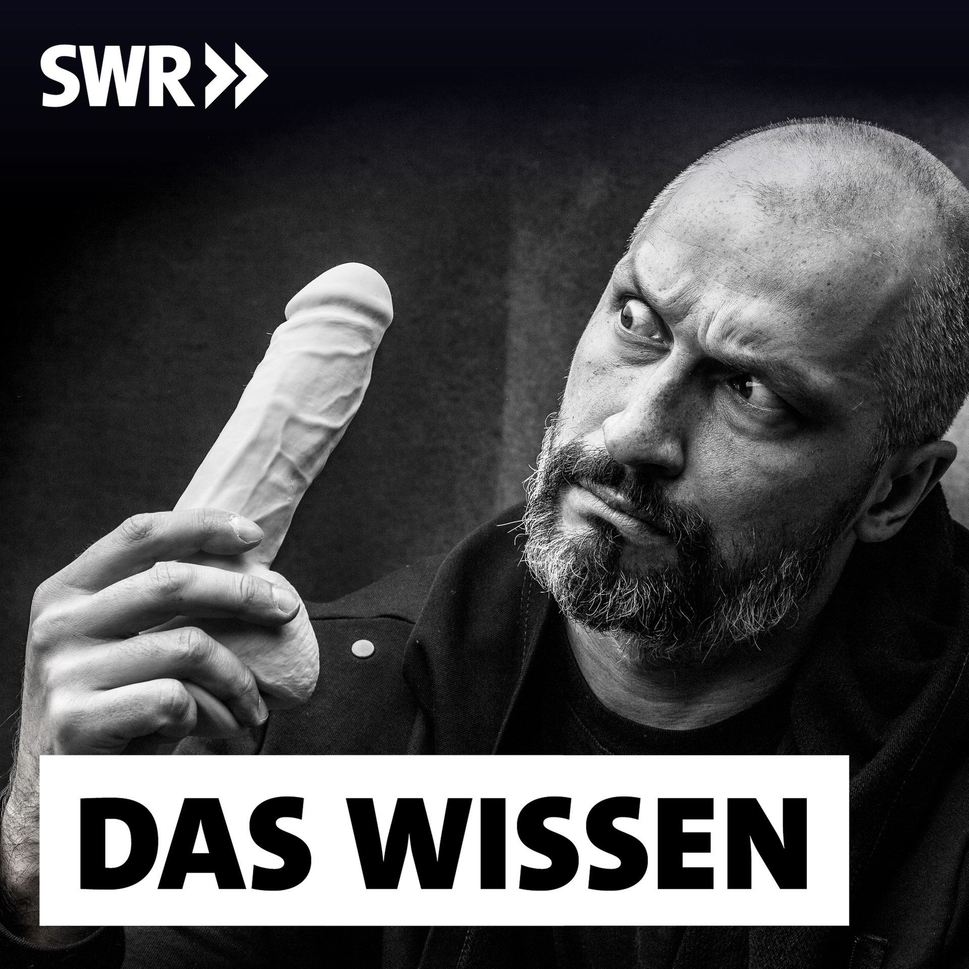 Der Penis – Ein unbekanntes Organ