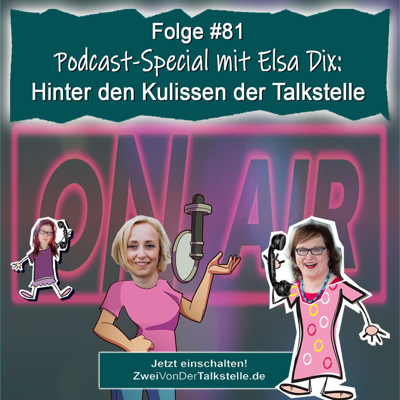DZVDT #81 - Podcast-Special mit Elsa Dix: Hinter den Kulissen der Talkstelle