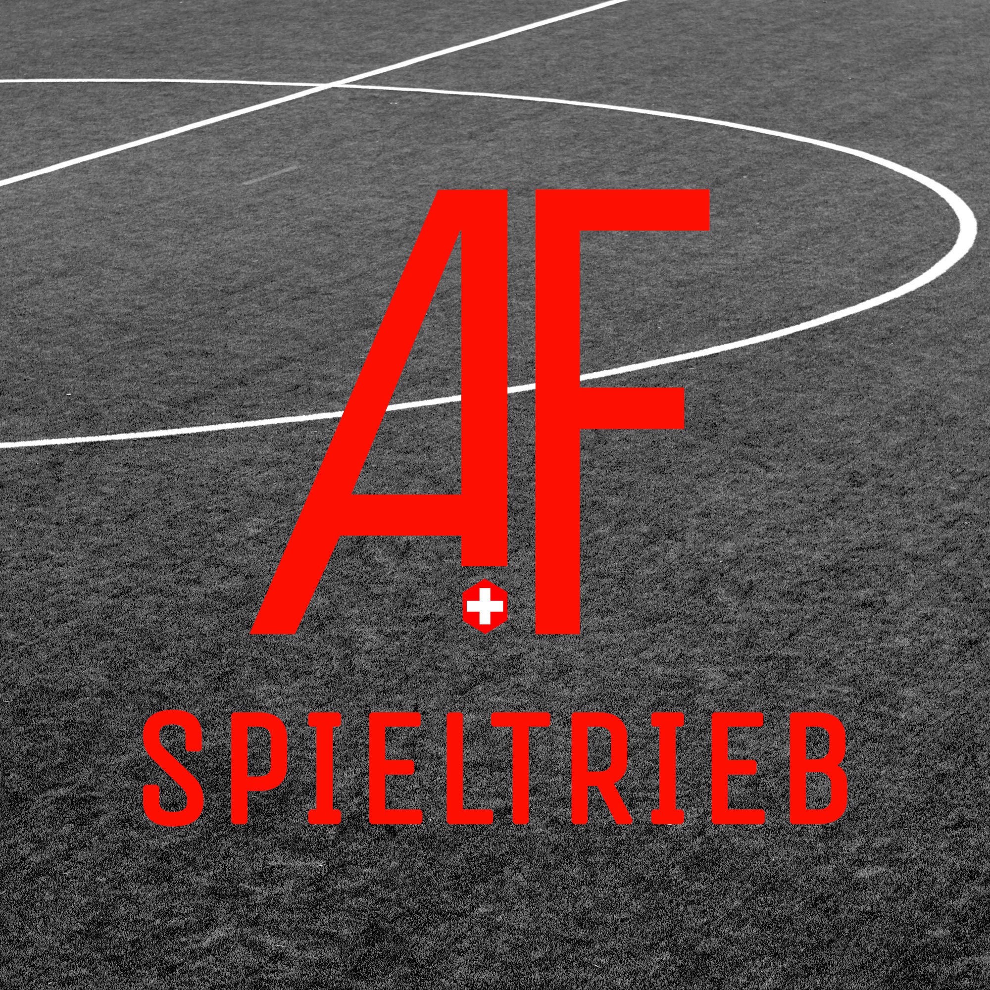 Ausbildung mit System - Der Schweizer Jugendfußball